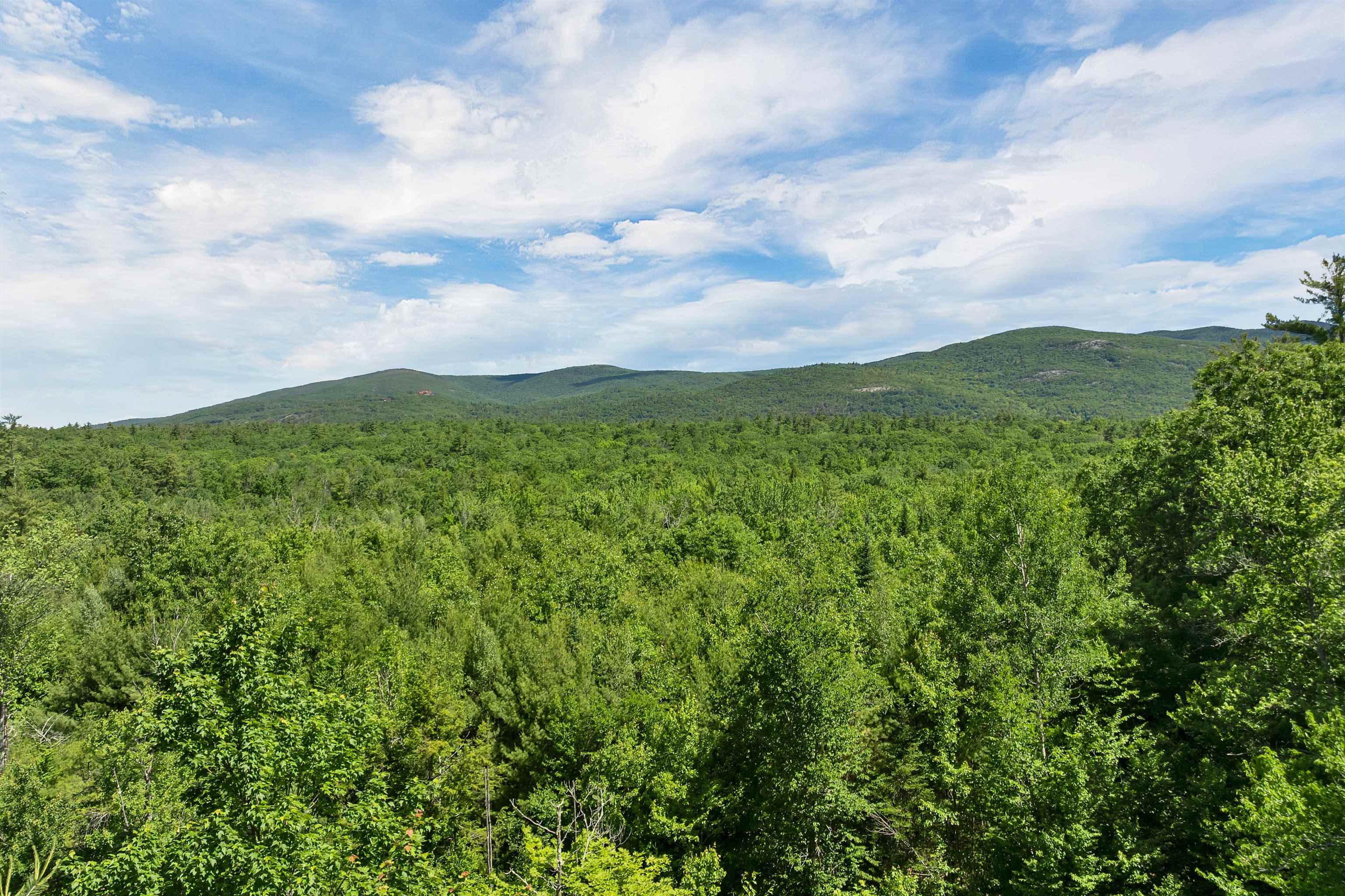 Awesome Mountain View!