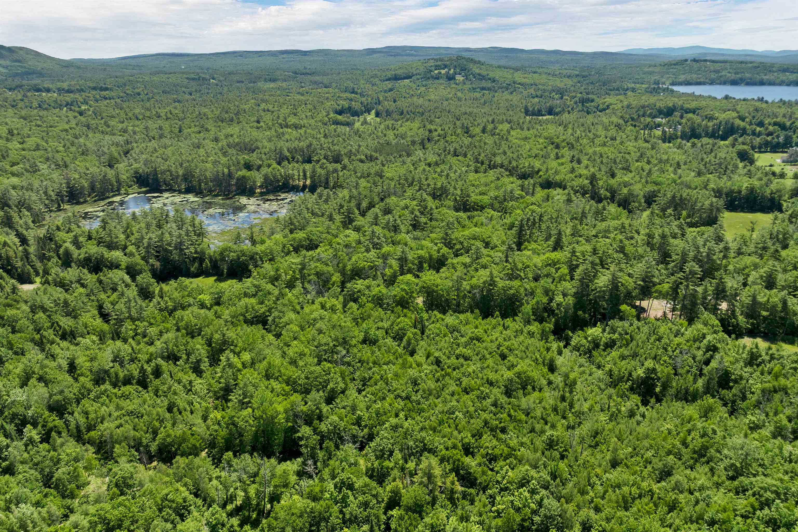 Beaver Pond- View to SE