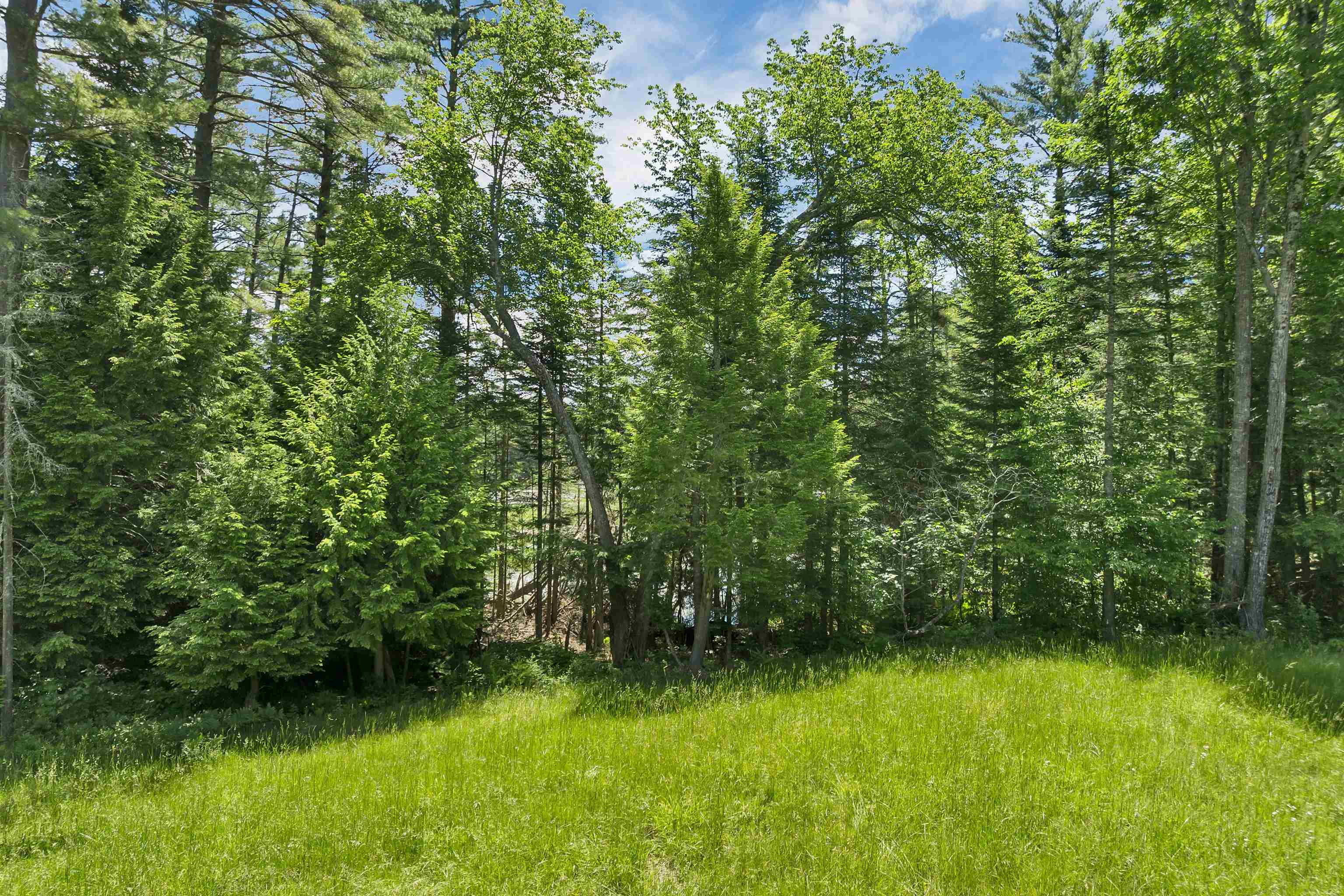 00 Beaver Pond Rd, Moultonborough, NH 03254