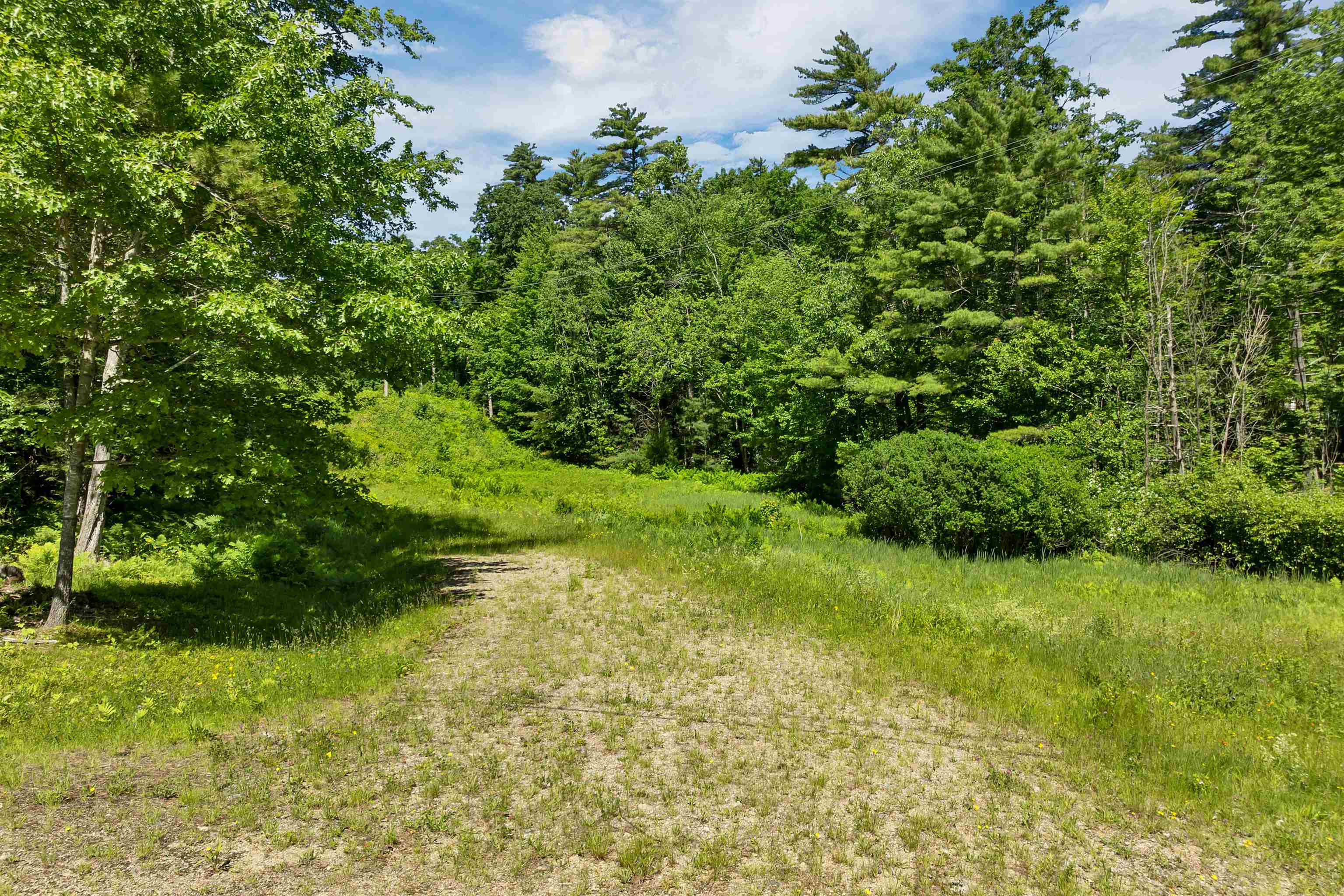 Clearing Lot 185-4