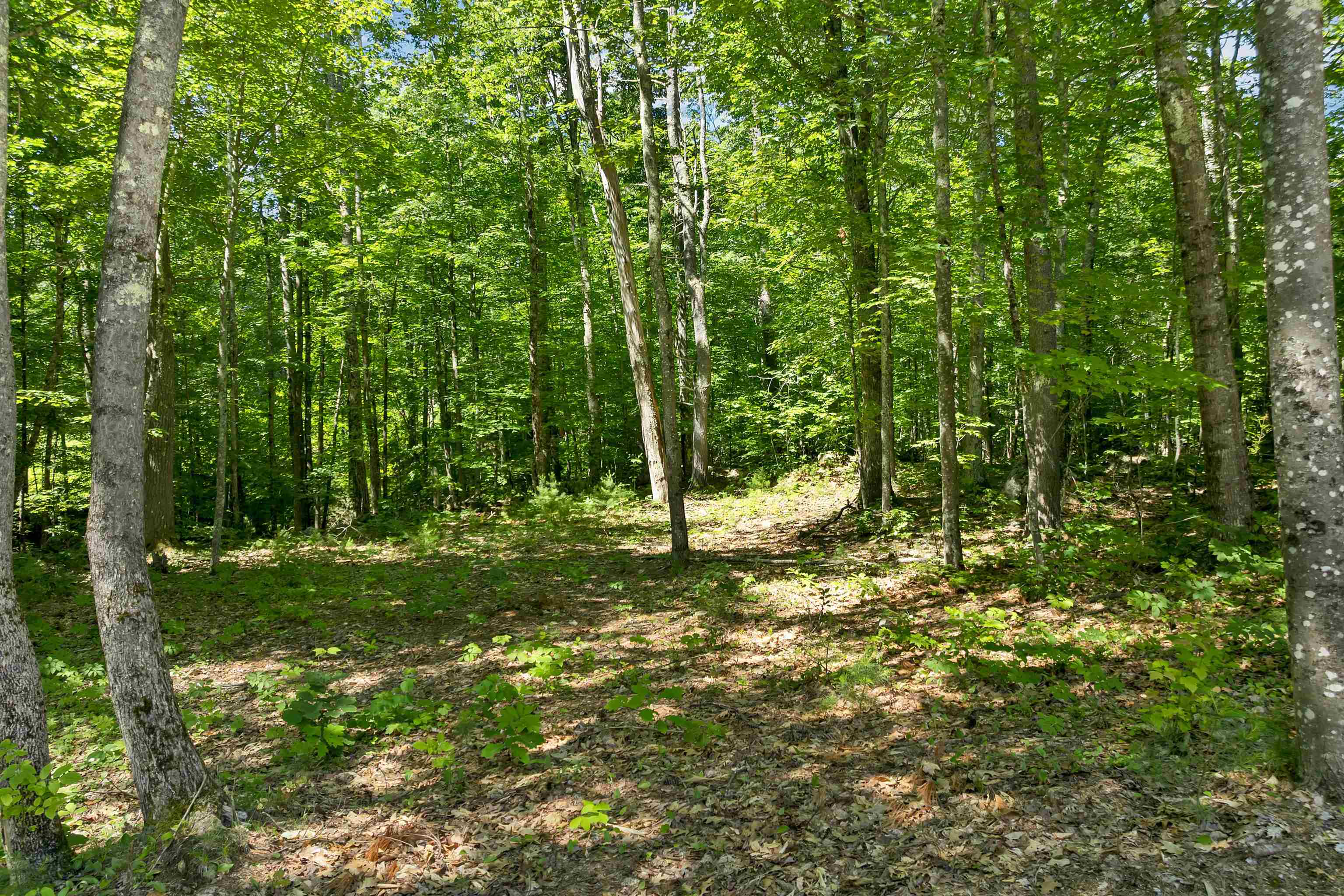 Walking Trail!