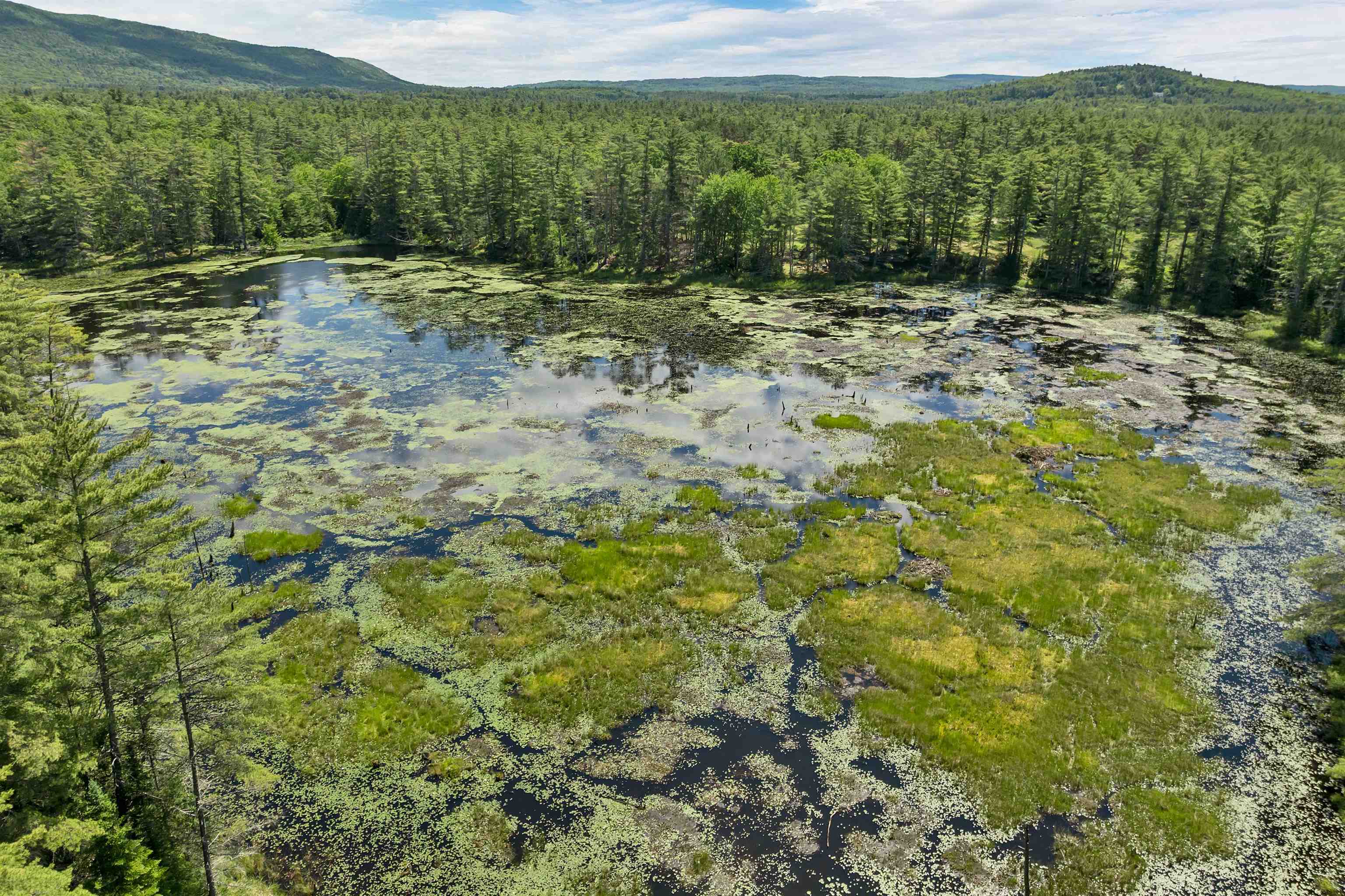 00 Beaver Pond Rd, Moultonborough, NH 03254