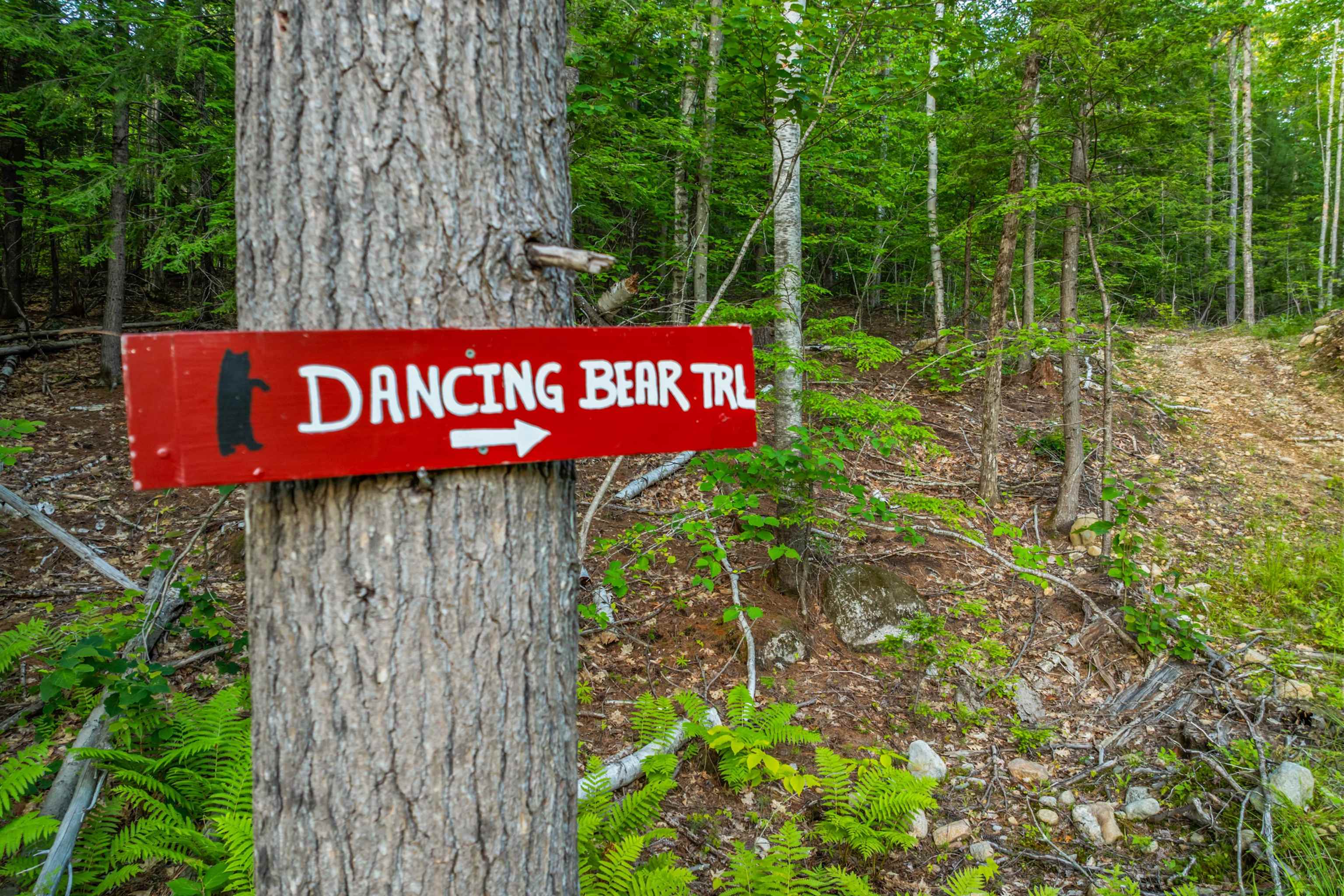 Numerous Private Trails on the 50 acres