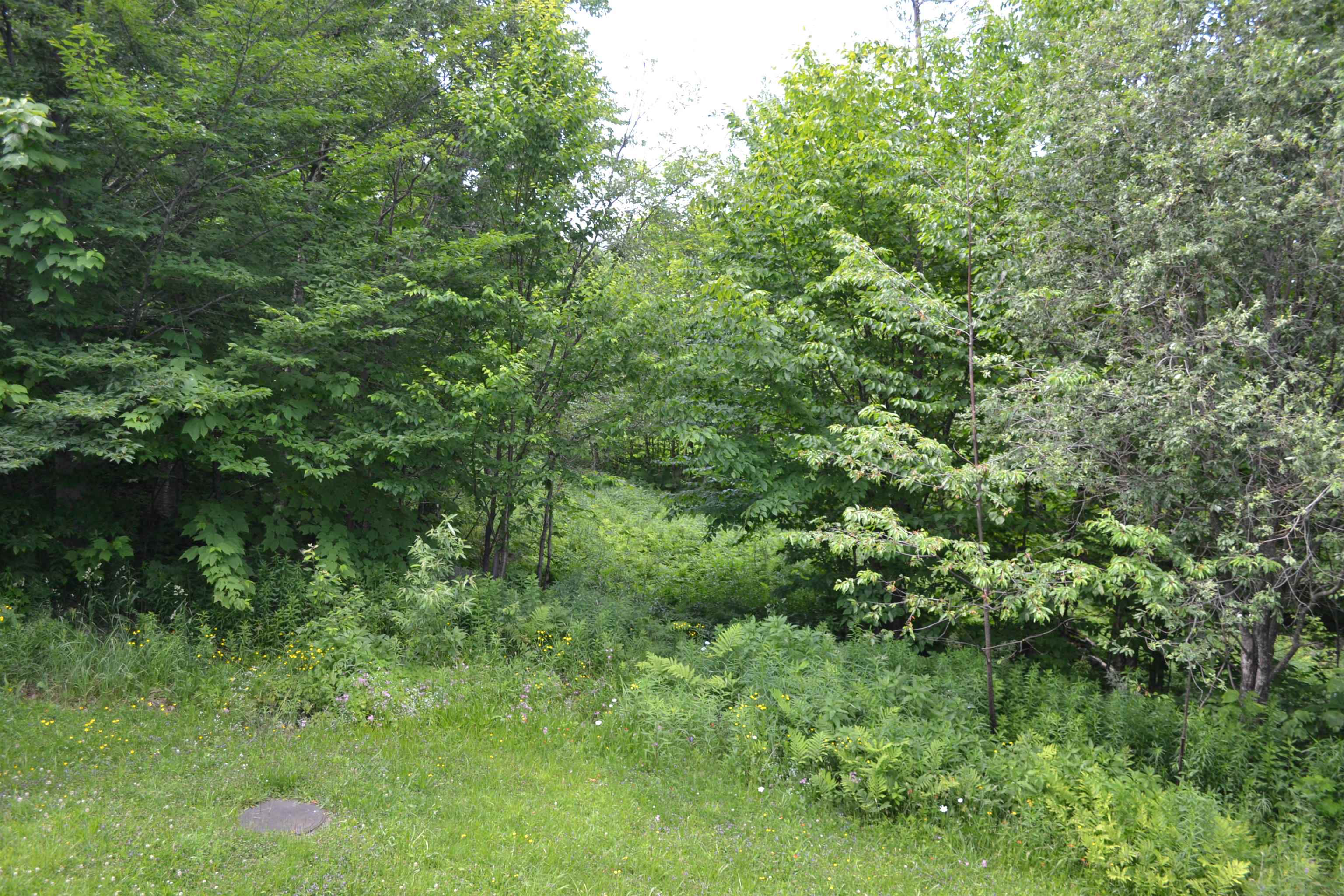 Property photo 37