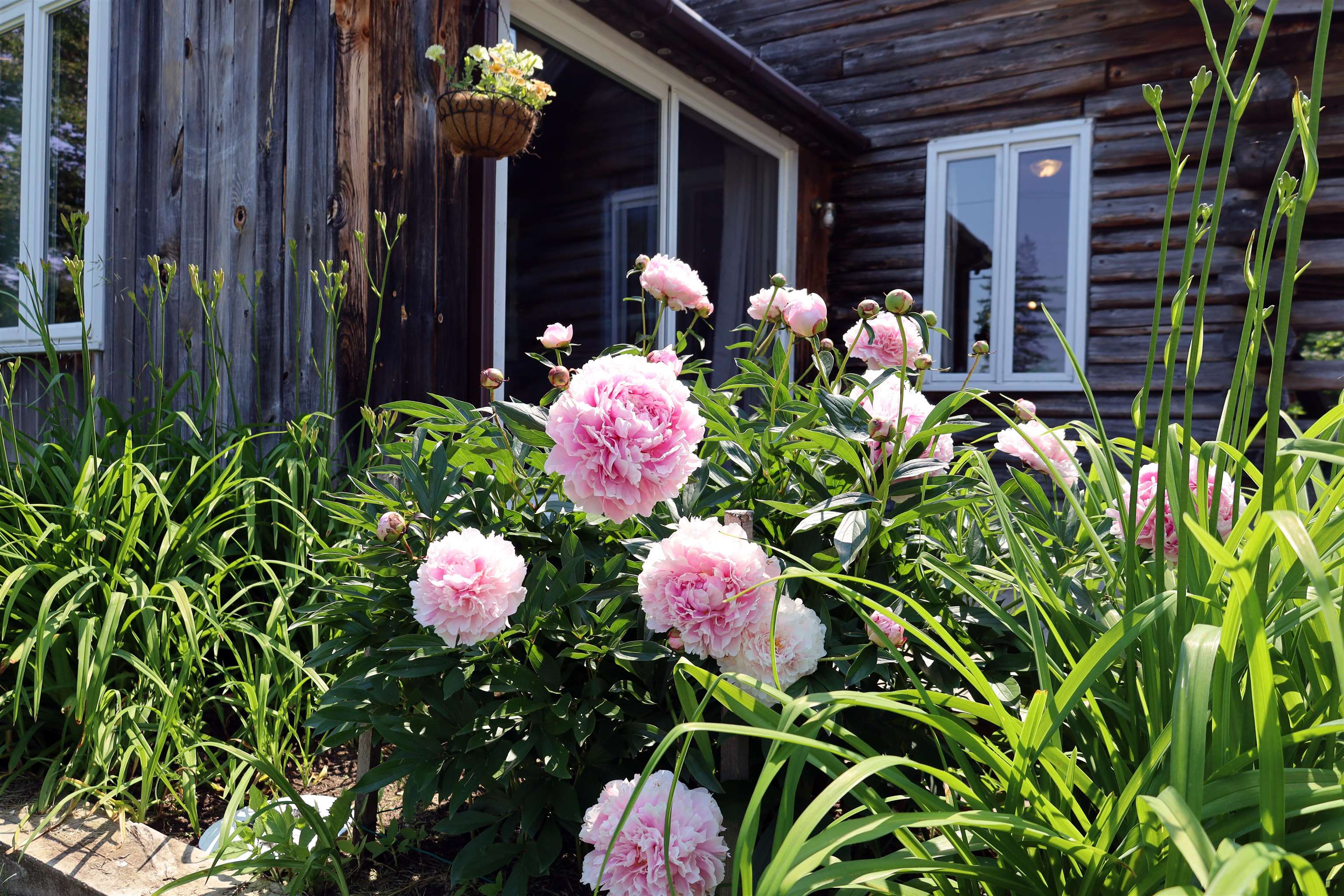 Property photo 47