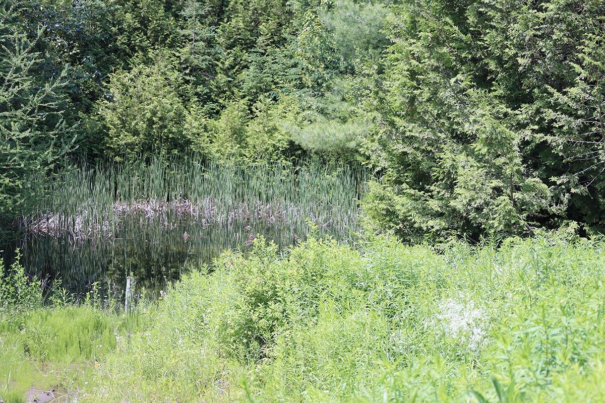 Property photo 57