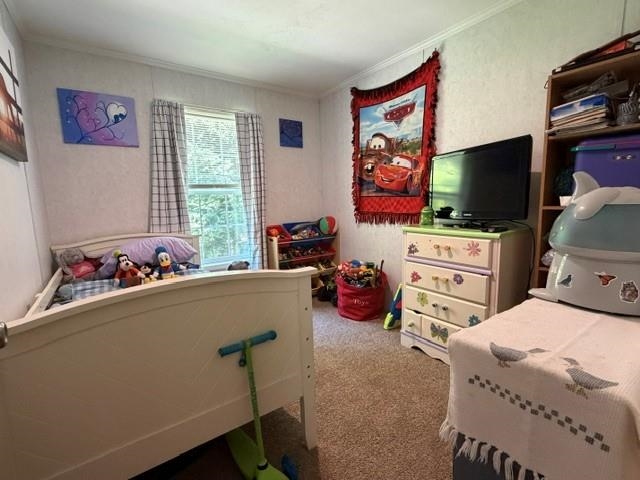 243 Buckley Rd, Weare, NH 03281