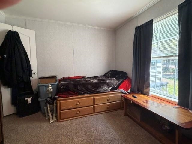 243 Buckley Rd, Weare, NH 03281