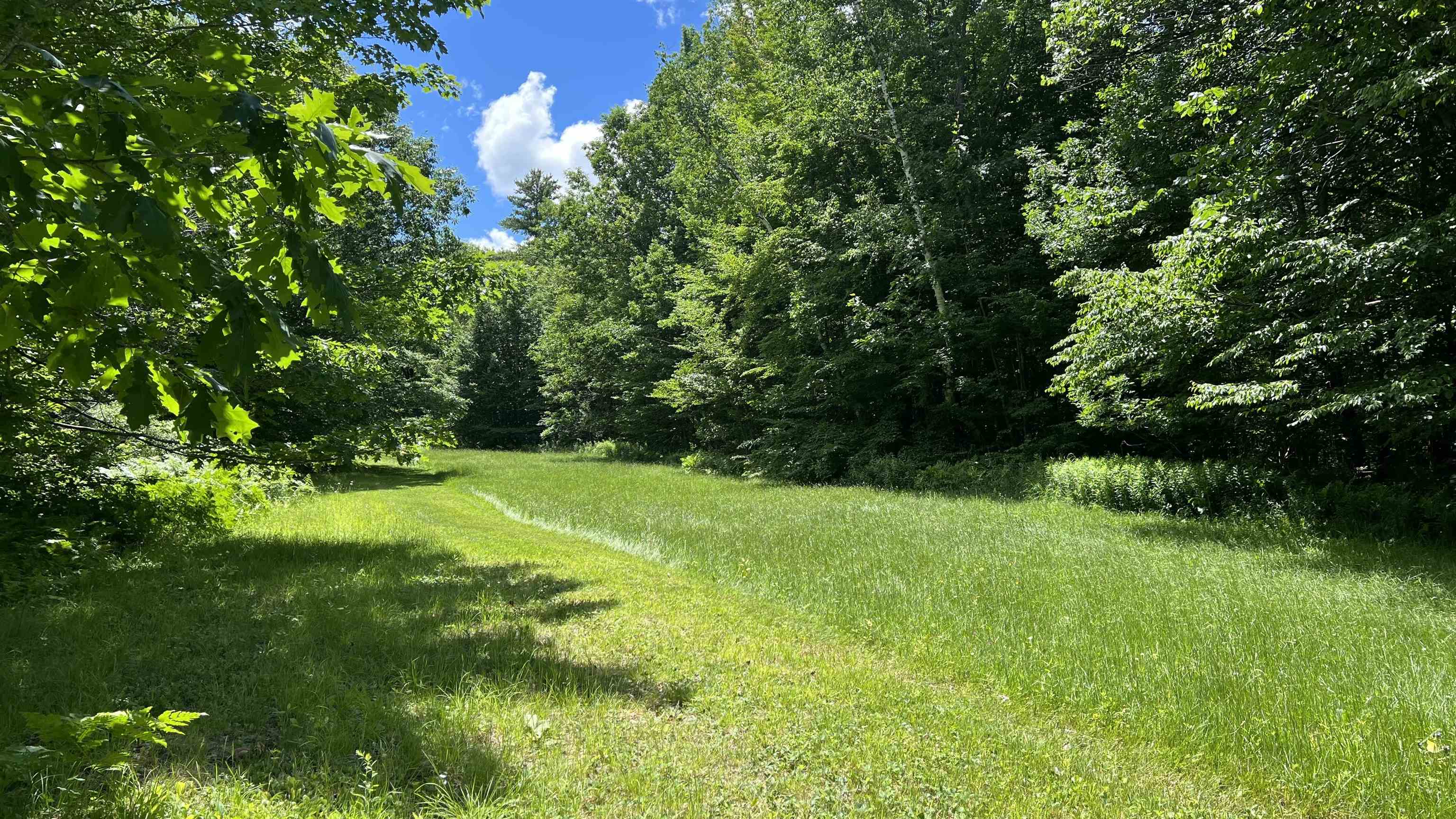 Property photo 41