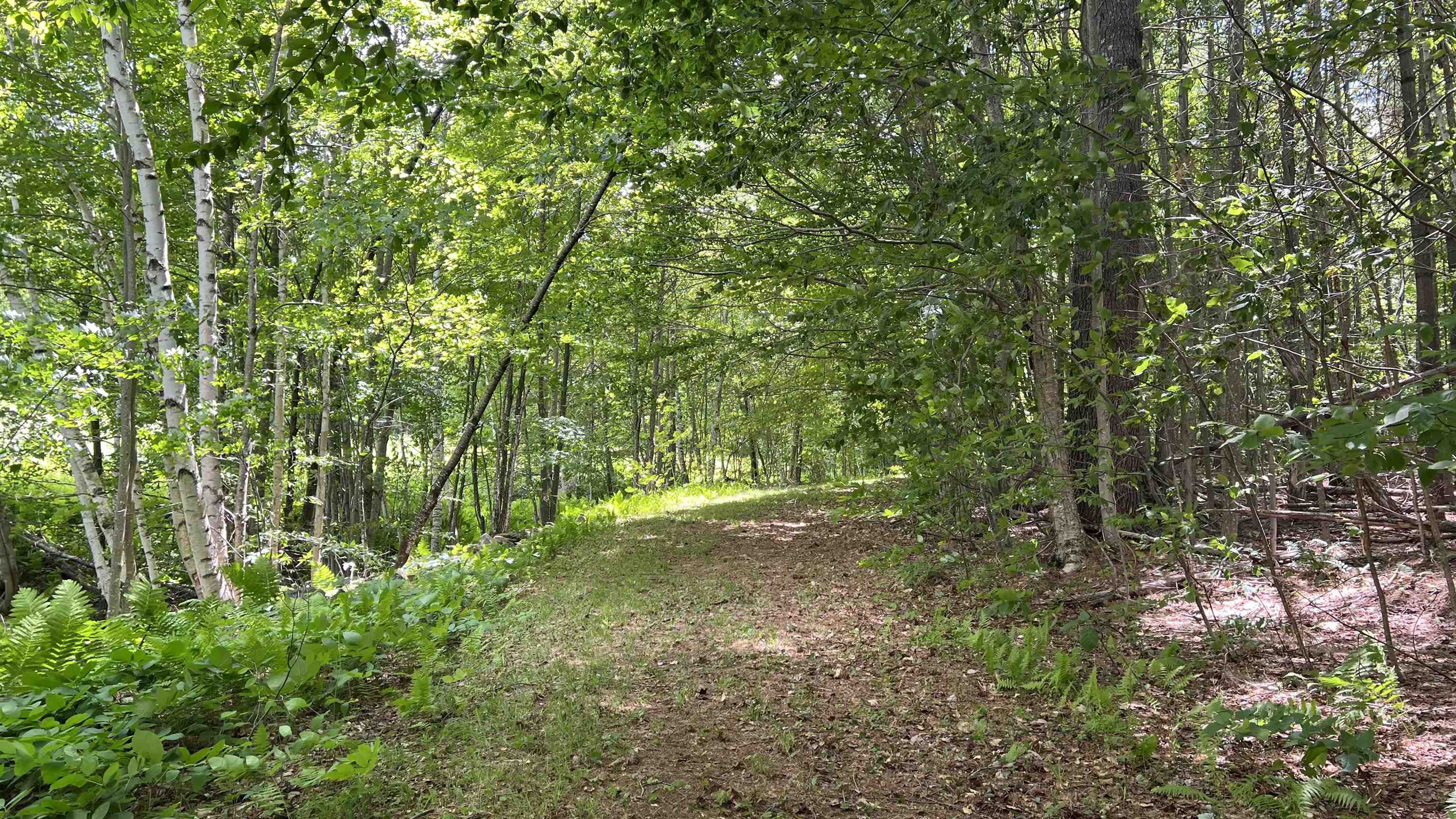 Property photo 45