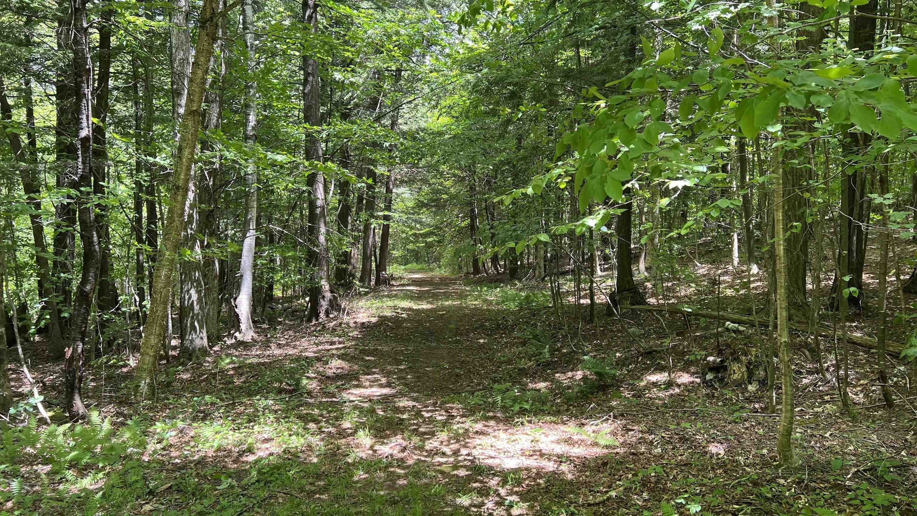 Property photo 48