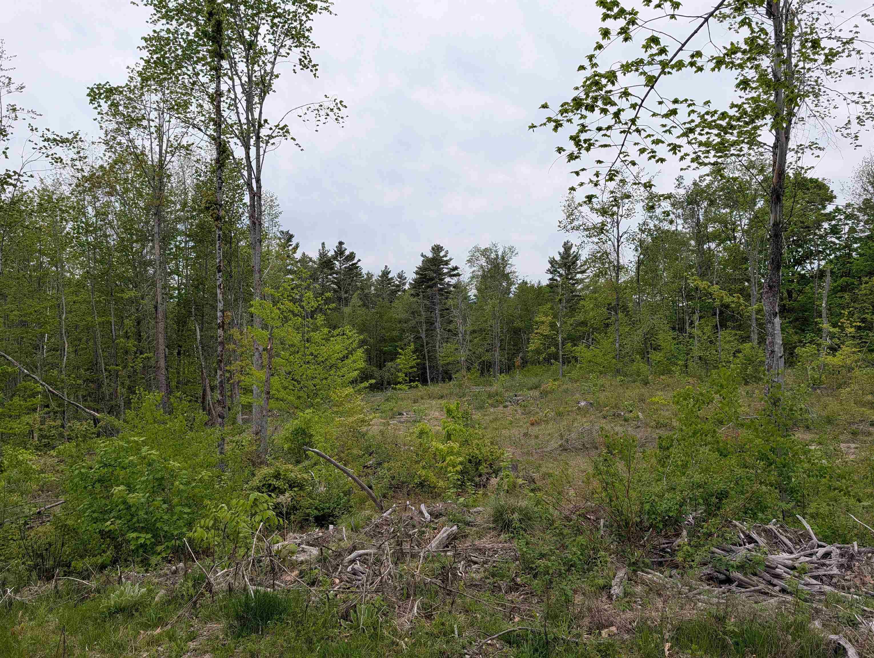 367 Height Of Land Rd, Grafton, NH 03740