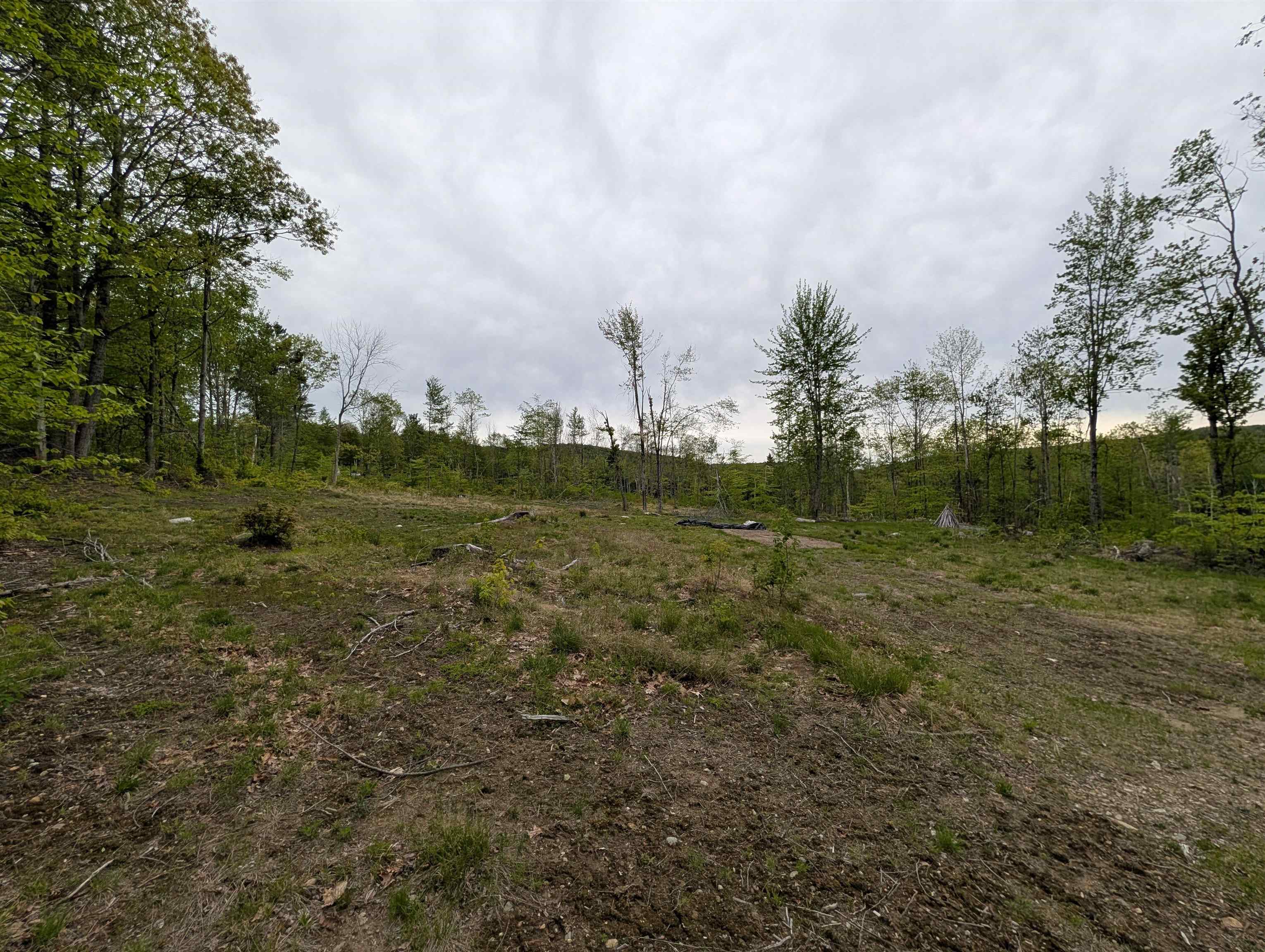 367 Height Of Land Rd, Grafton, NH 03740