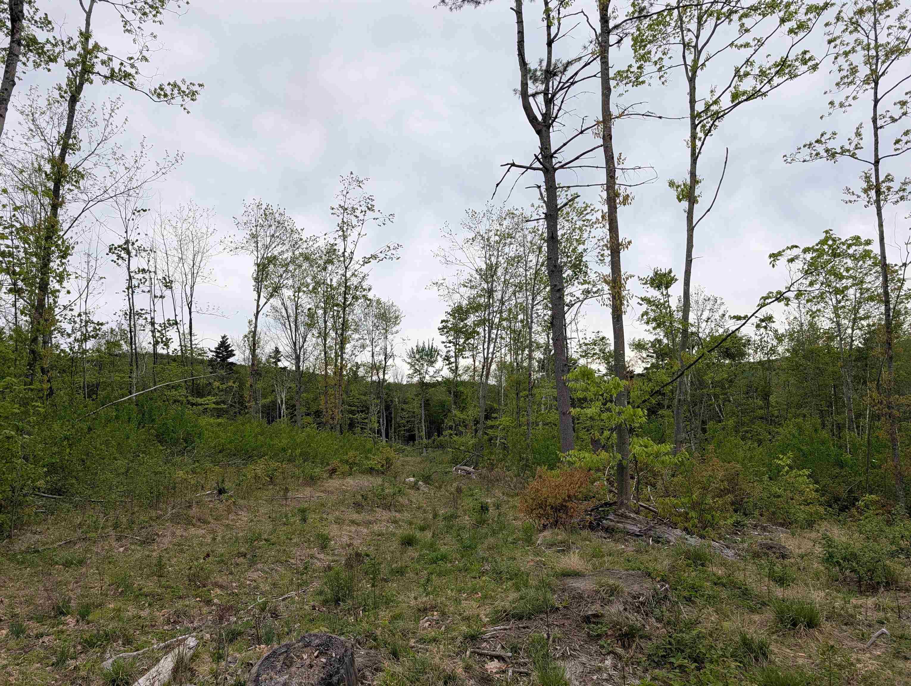 367 Height Of Land Rd, Grafton, NH 03740