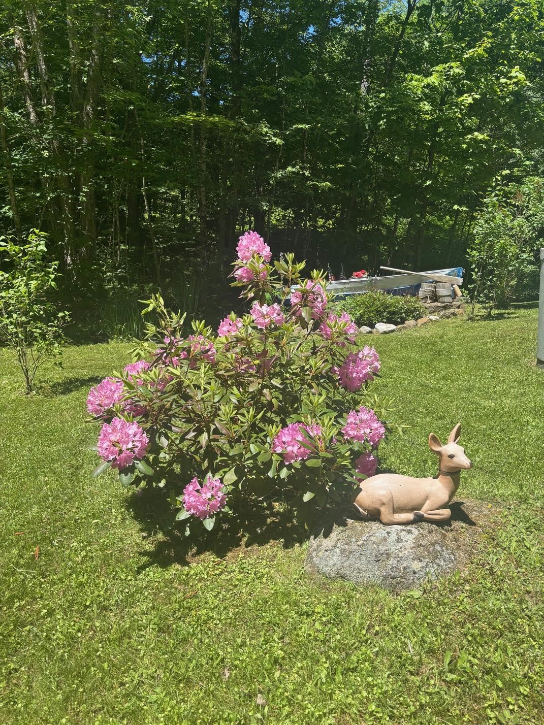 530 Marlow Rd, Washington, NH 03280