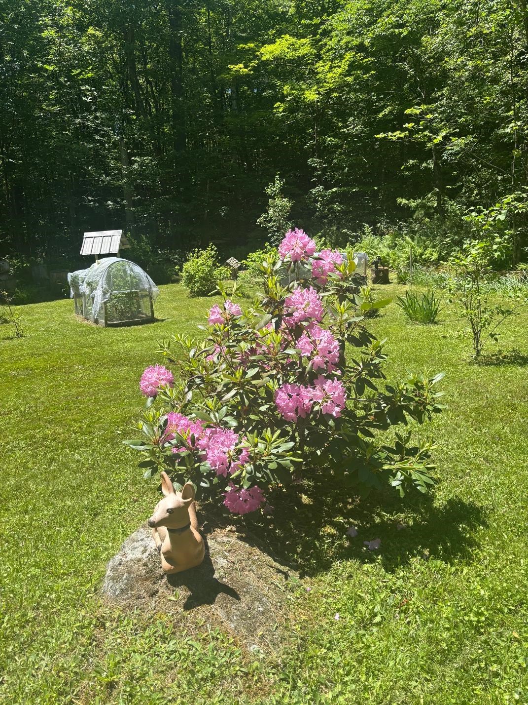 530 Marlow Rd, Washington, NH 03280