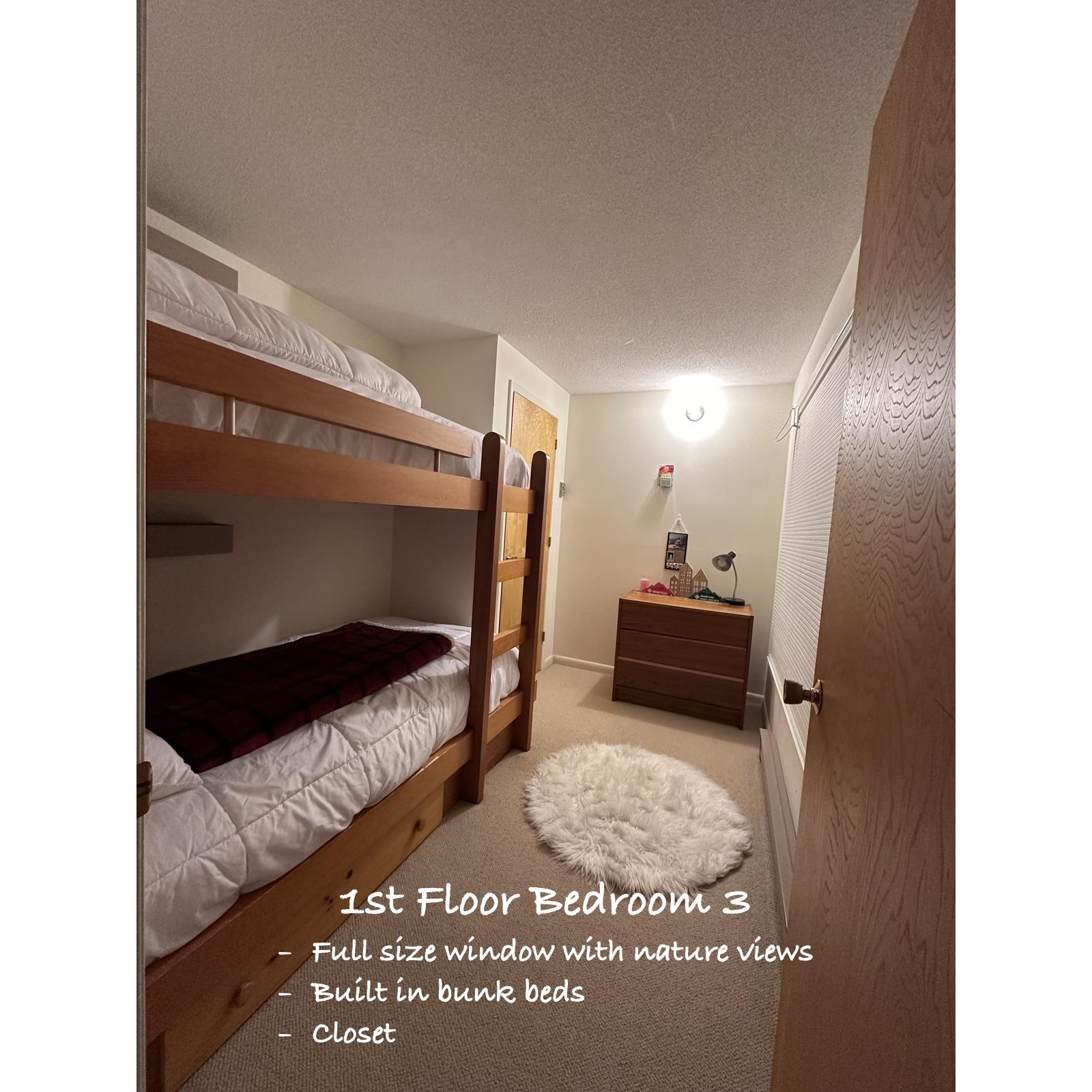 28 Tyler Spring Way #21, Waterville Valley, NH 03215