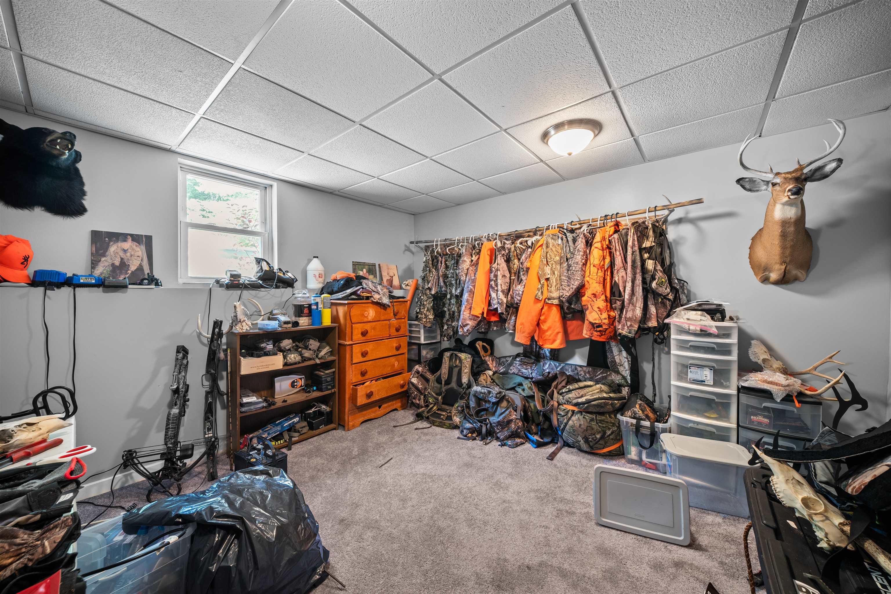 47 Henry Dr, Effingham, NH 03882