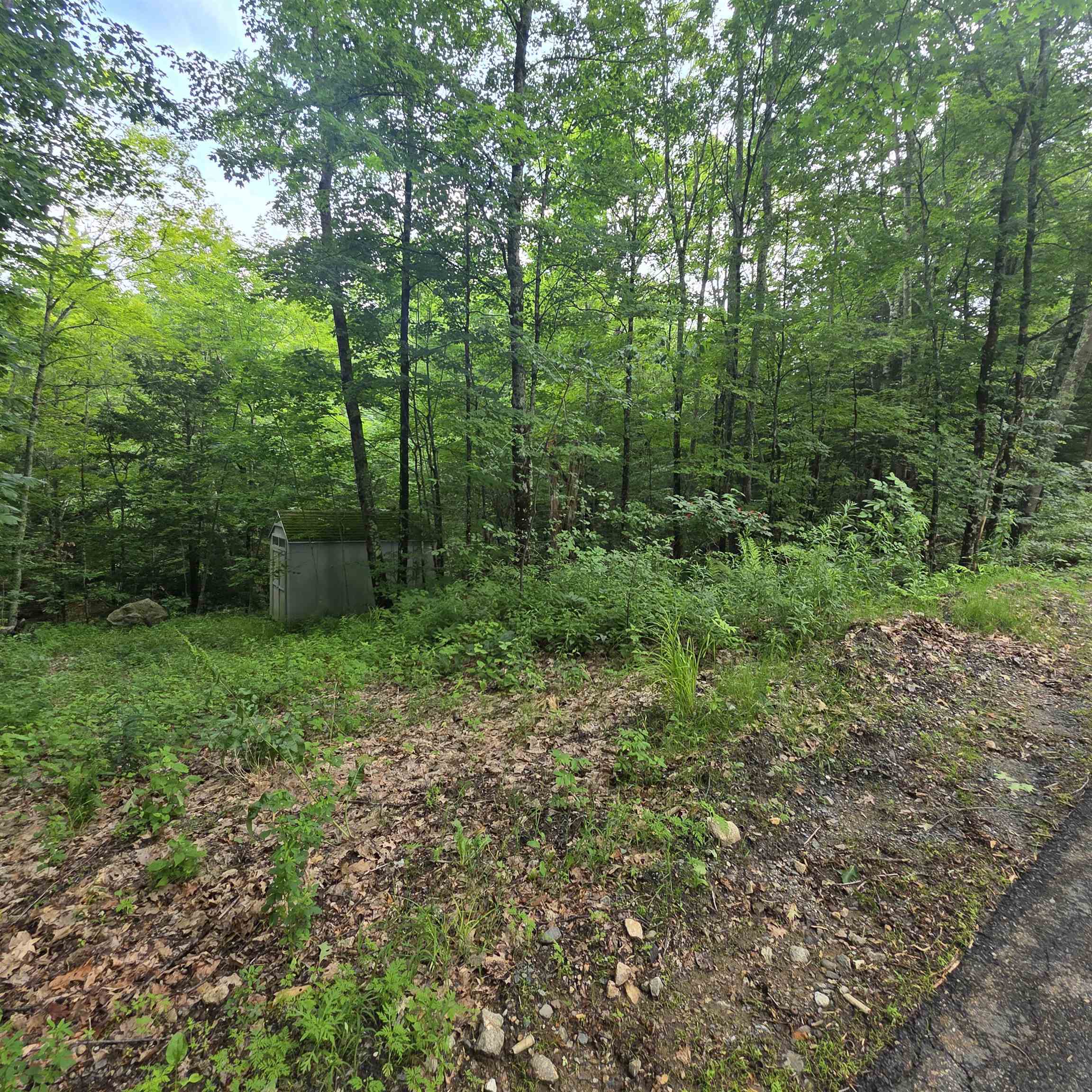 Lot 4B-29-2 Joslin Rd, Surry, NH 03431
