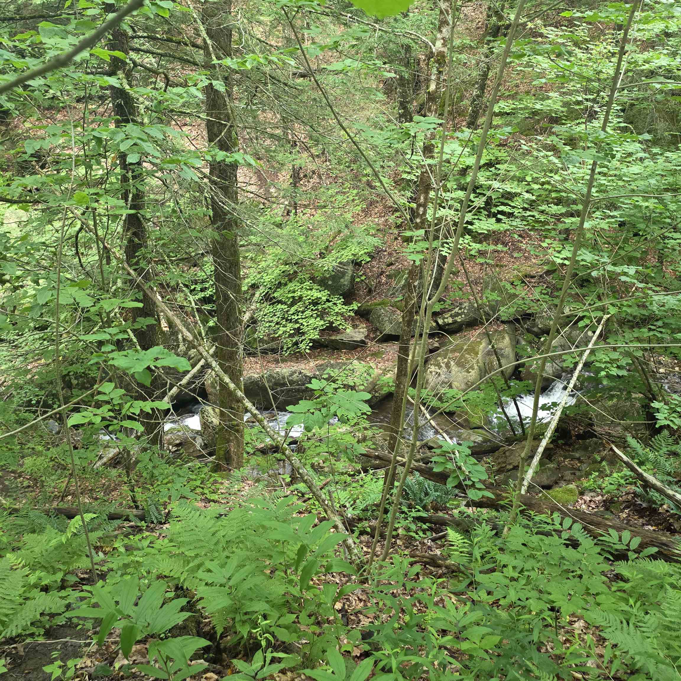 Lot 4B-29-2 Joslin Rd, Surry, NH 03431