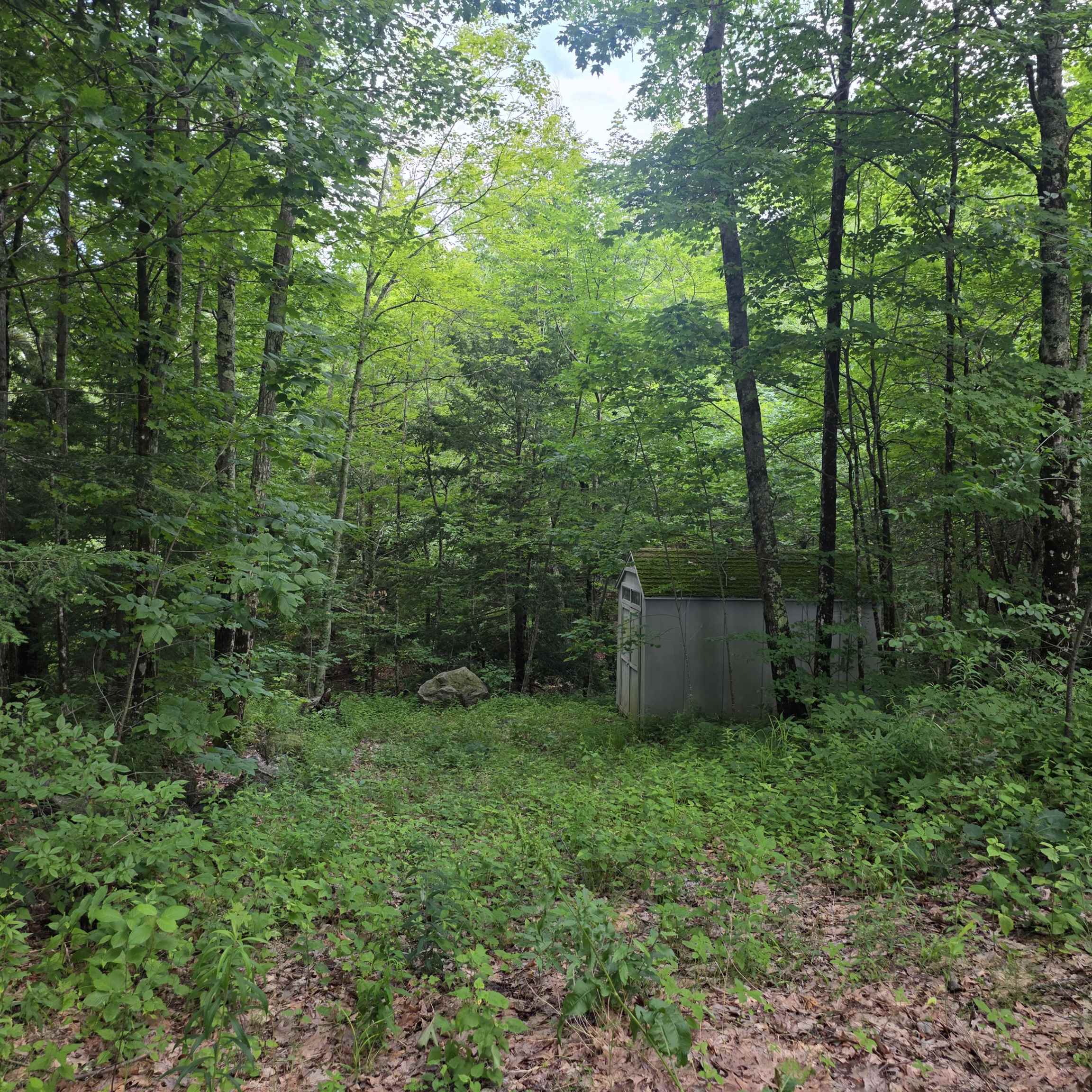 Lot 4B-29-2 Joslin Rd, Surry, NH 03431