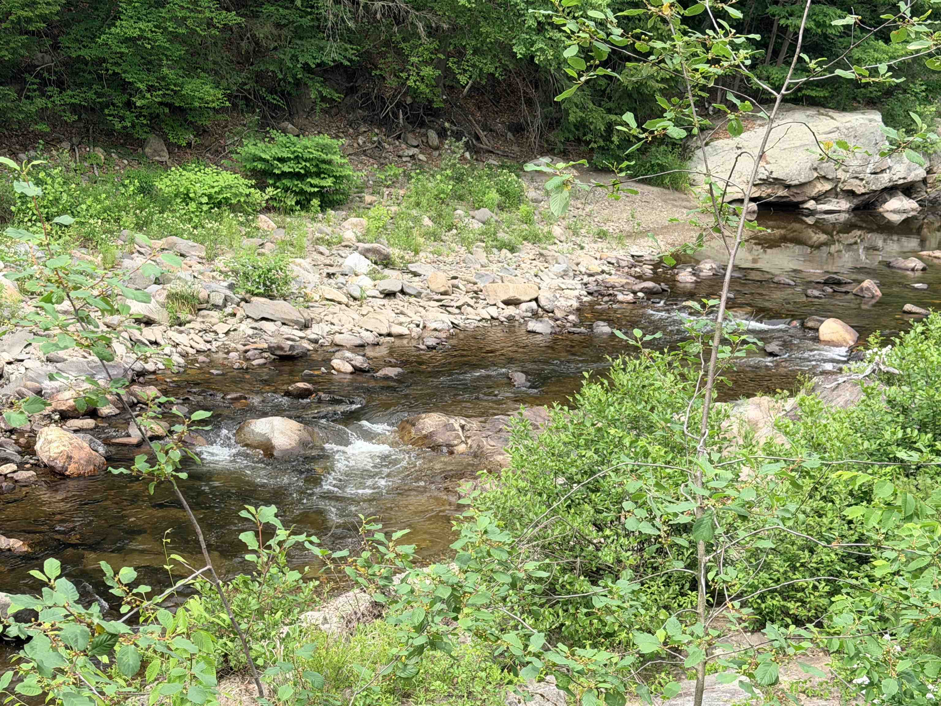 Cold River