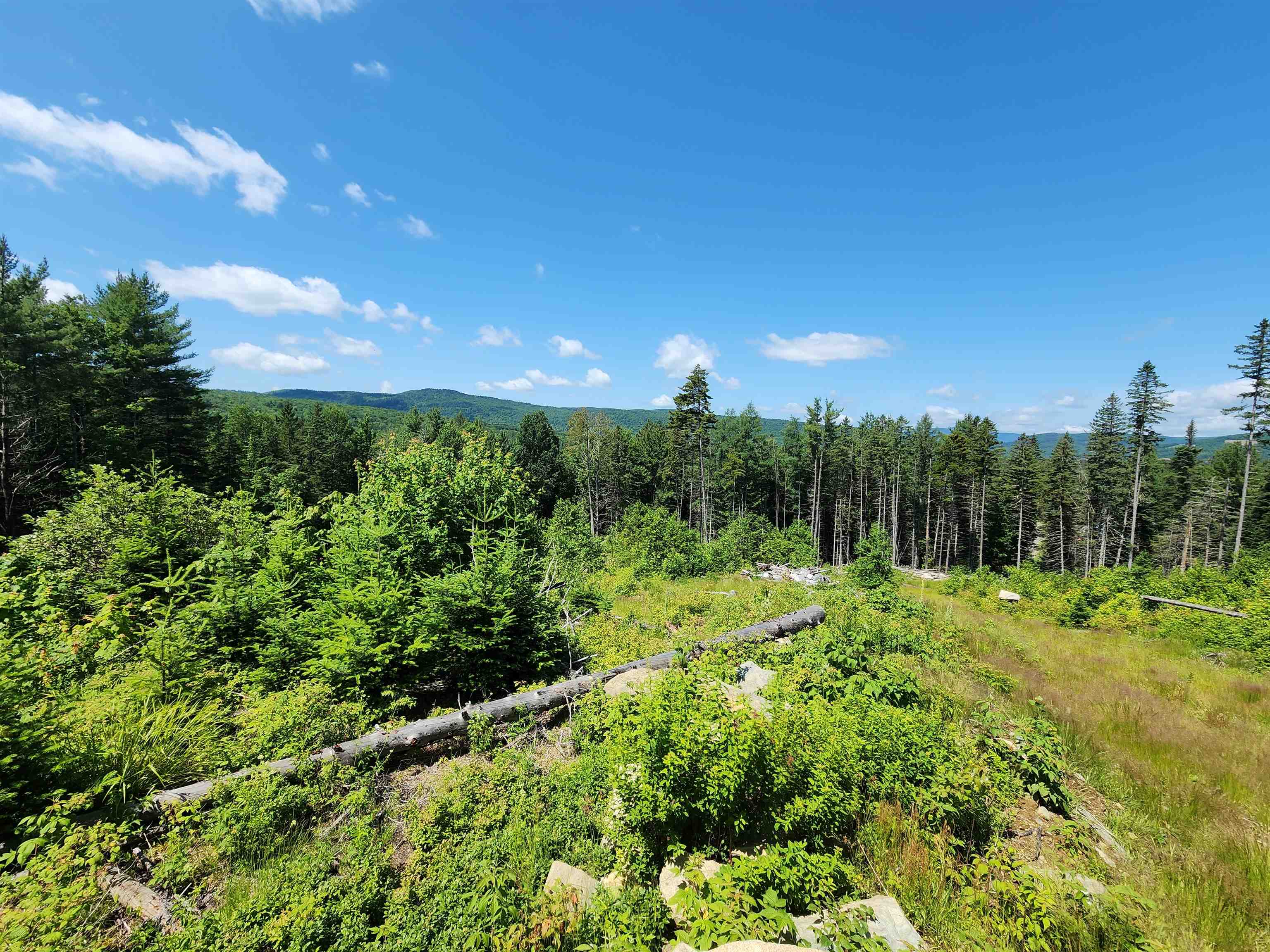 65 Hall Rd, Errol, NH 03579