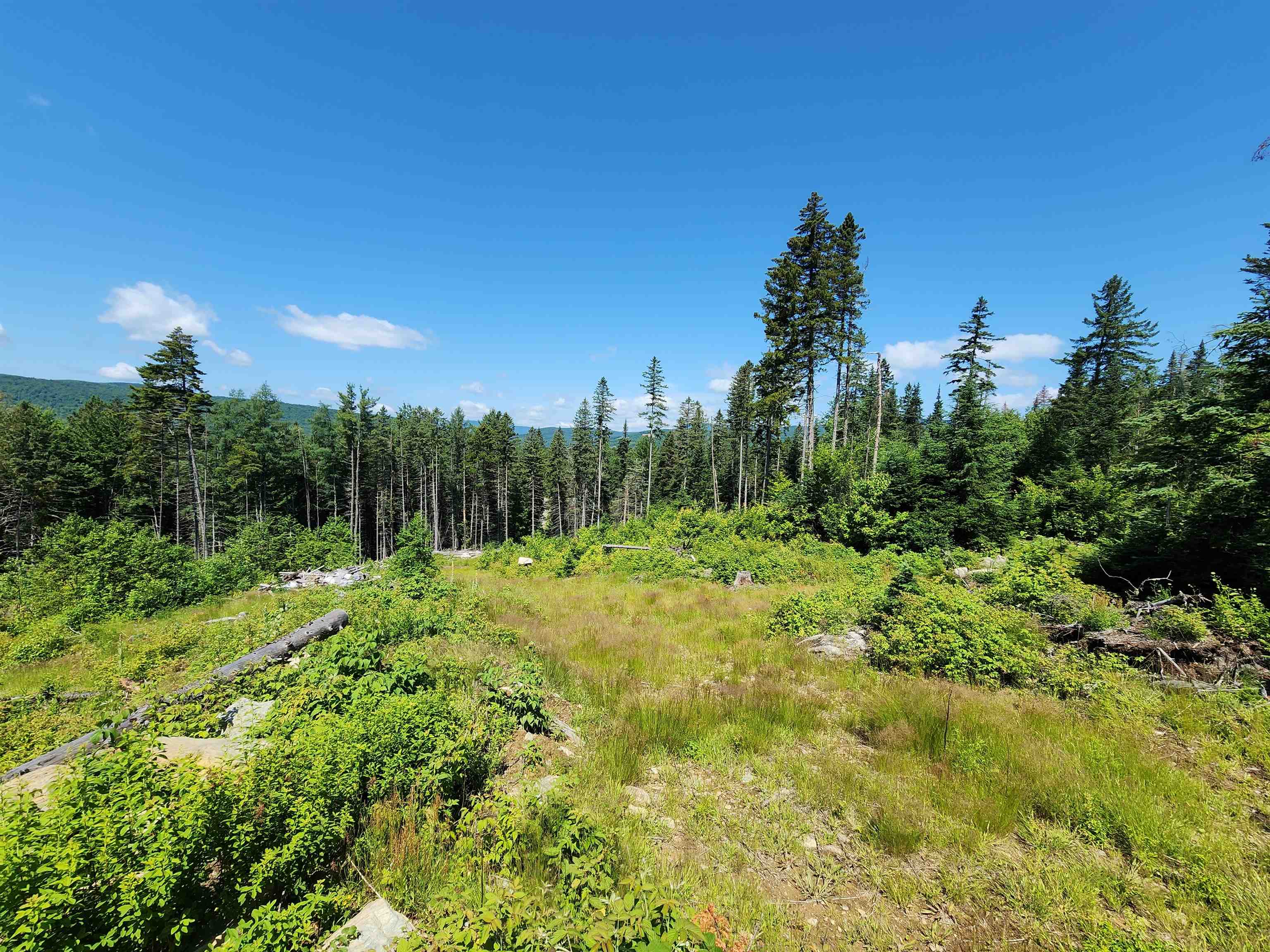65 Hall Rd, Errol, NH 03579