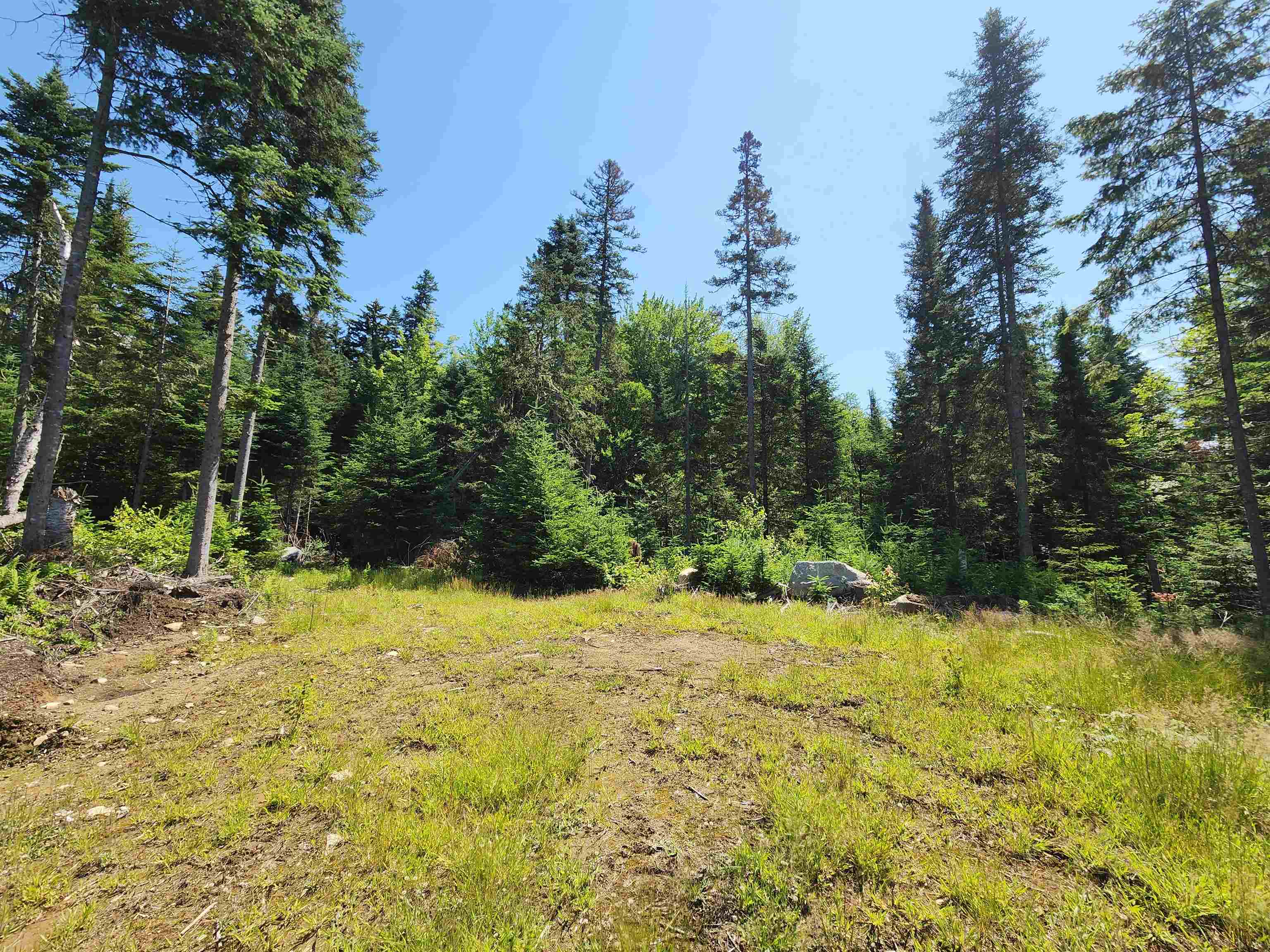 65 Hall Rd, Errol, NH 03579