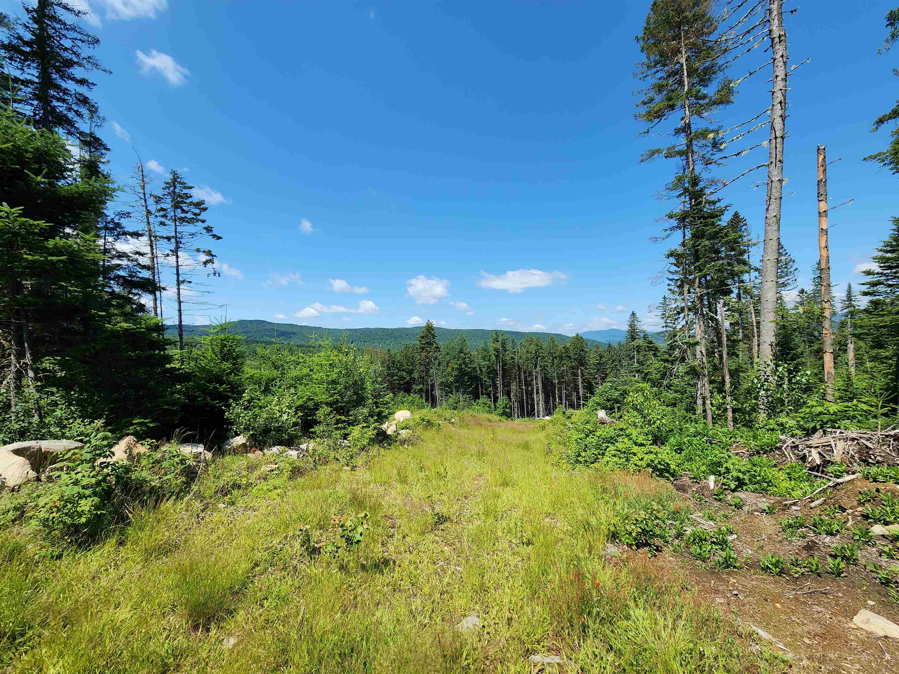 65 Hall Rd, Errol, NH 03579