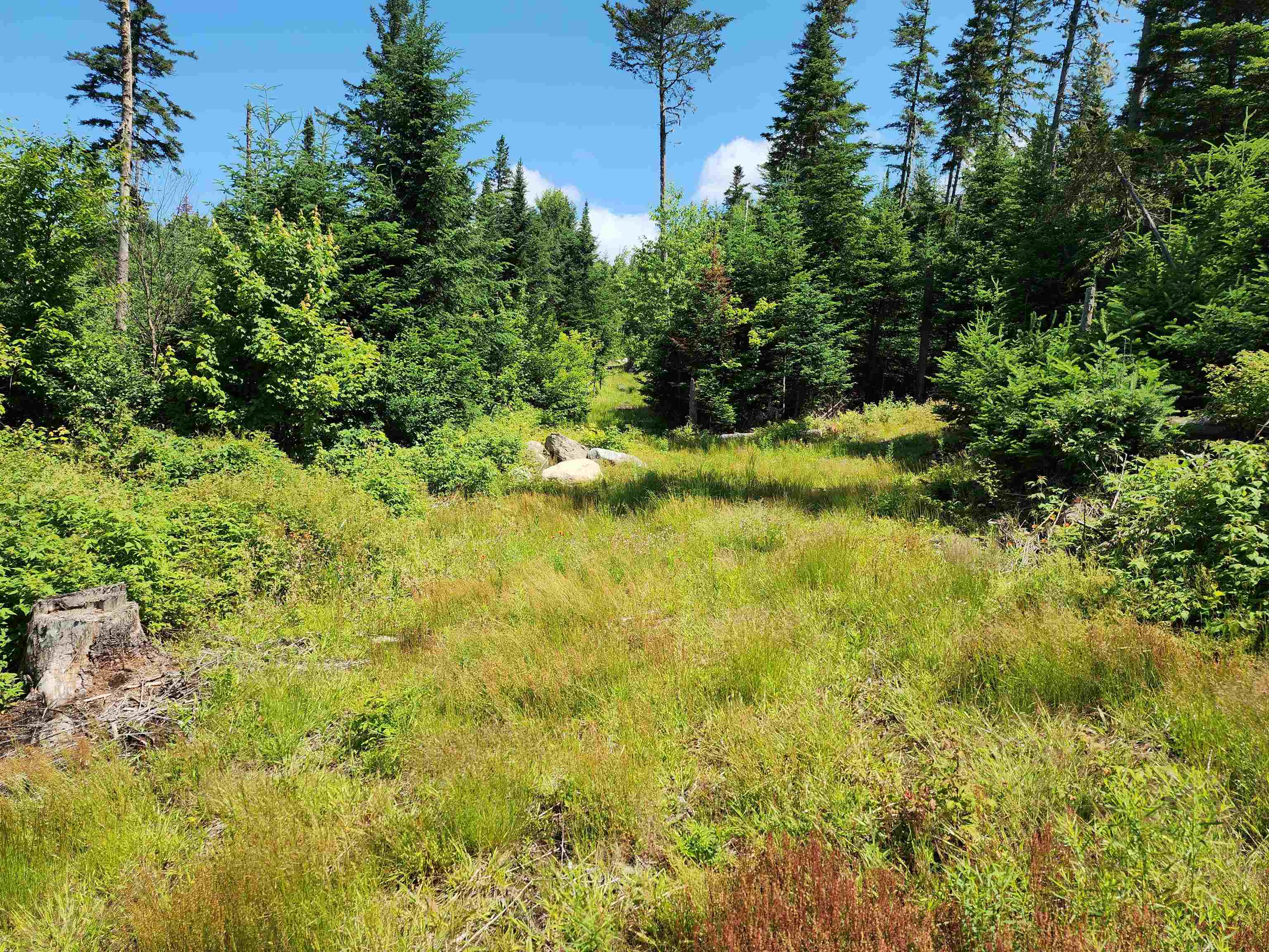65 Hall Rd, Errol, NH 03579