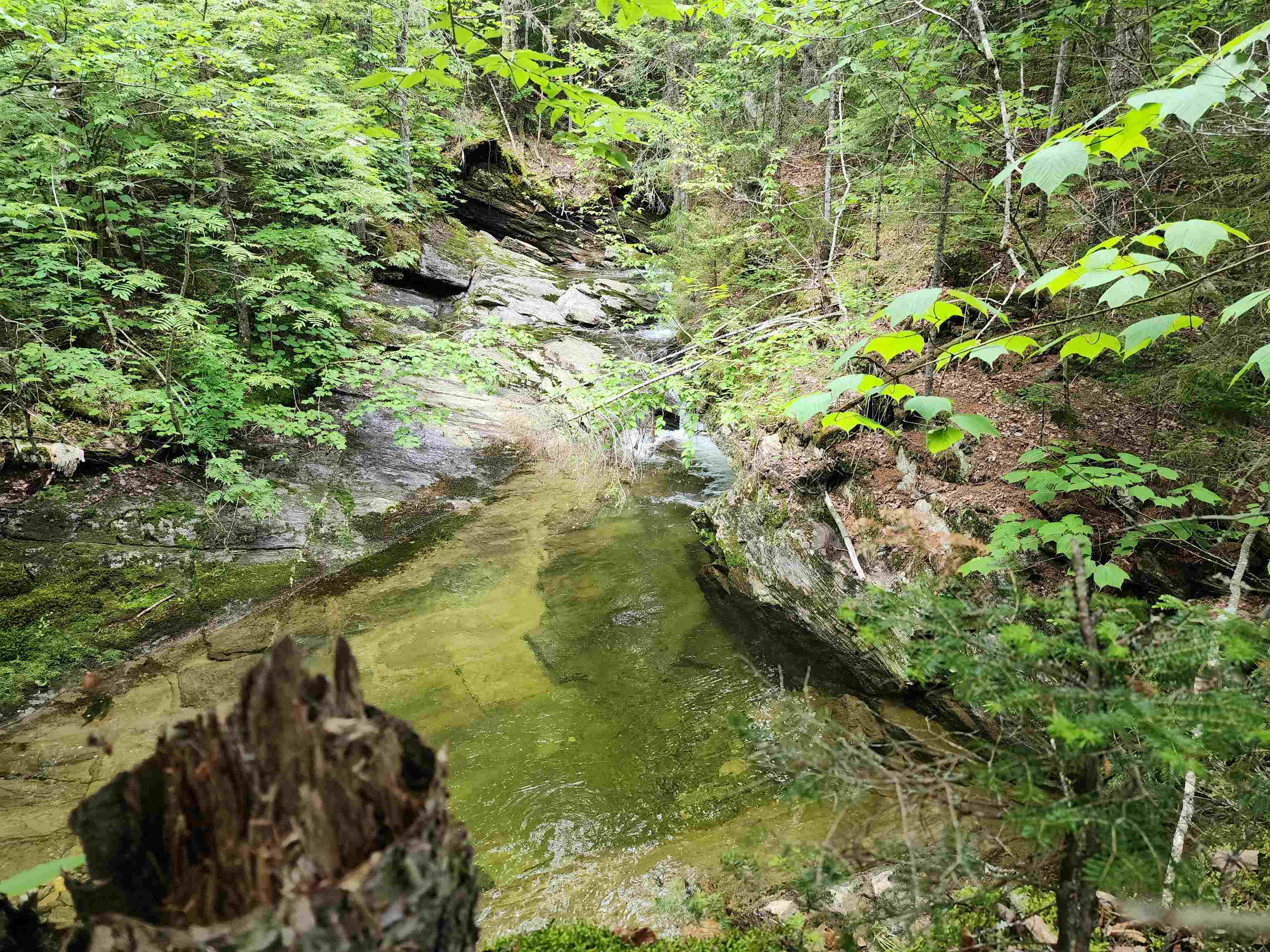 LOT 1 Ginnie Ln, Errol, NH 03579