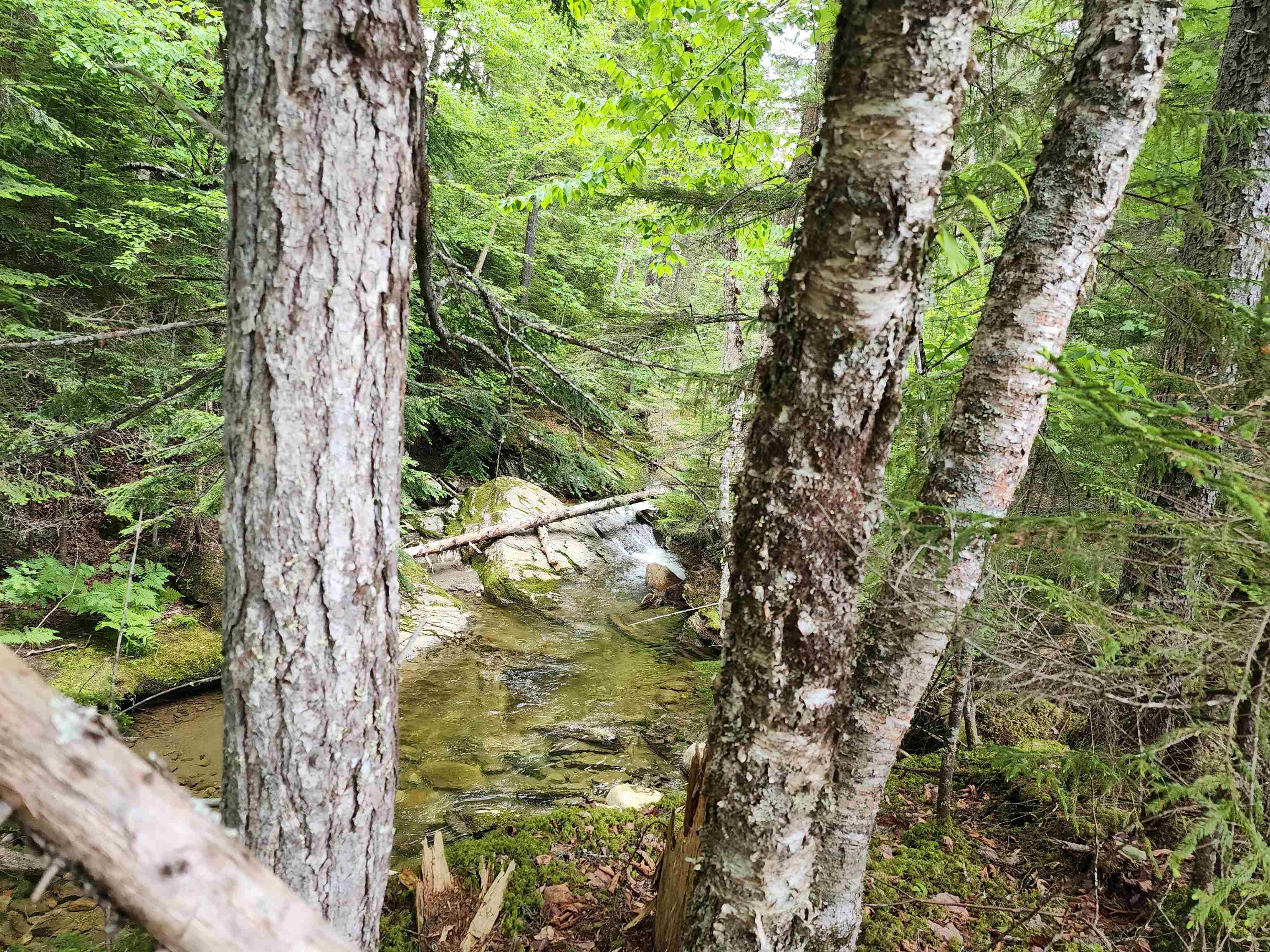 LOT 1 Ginnie Ln, Errol, NH 03579