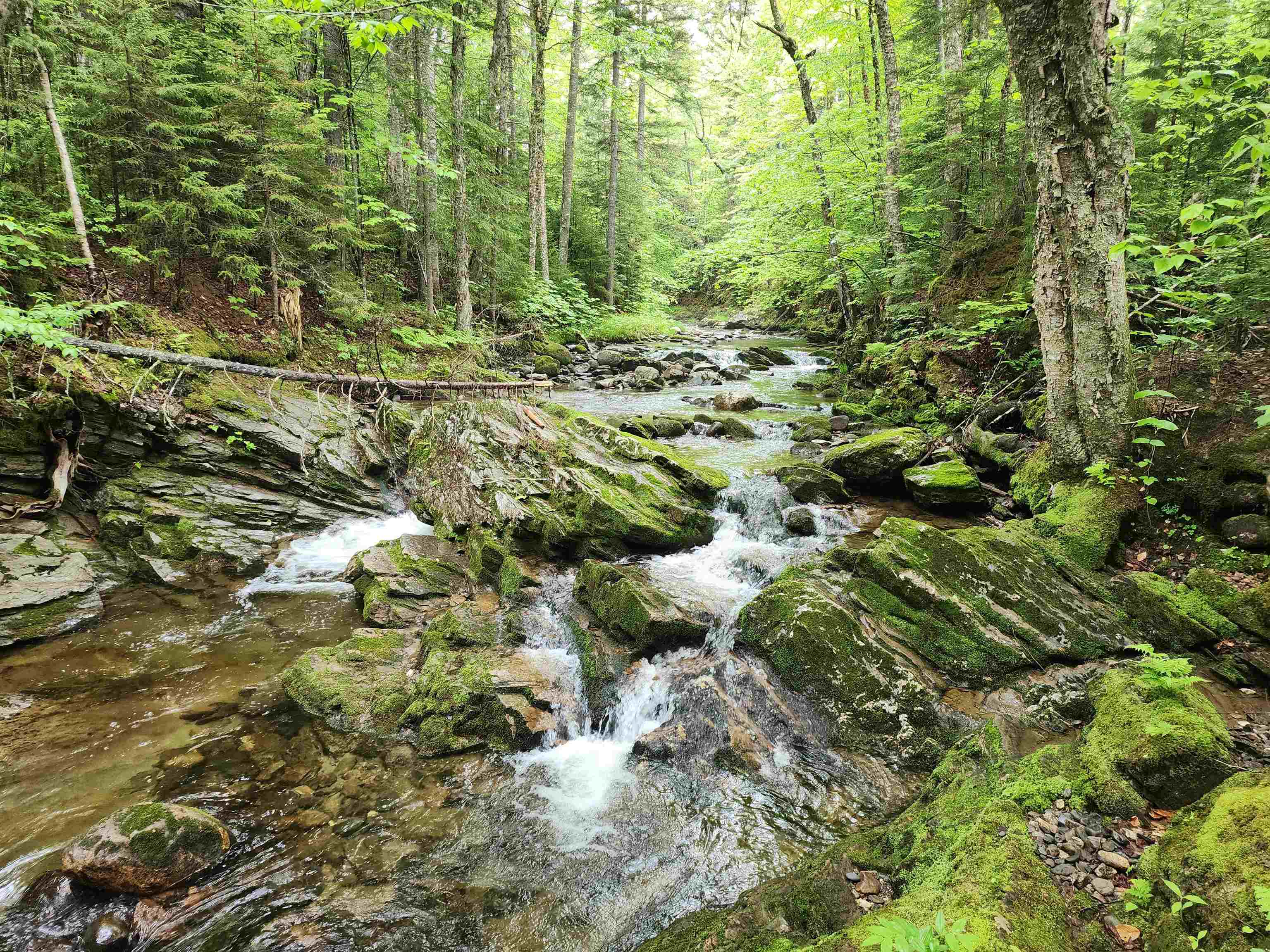 LOT 2 Ginnie Ln, Errol, NH 03579