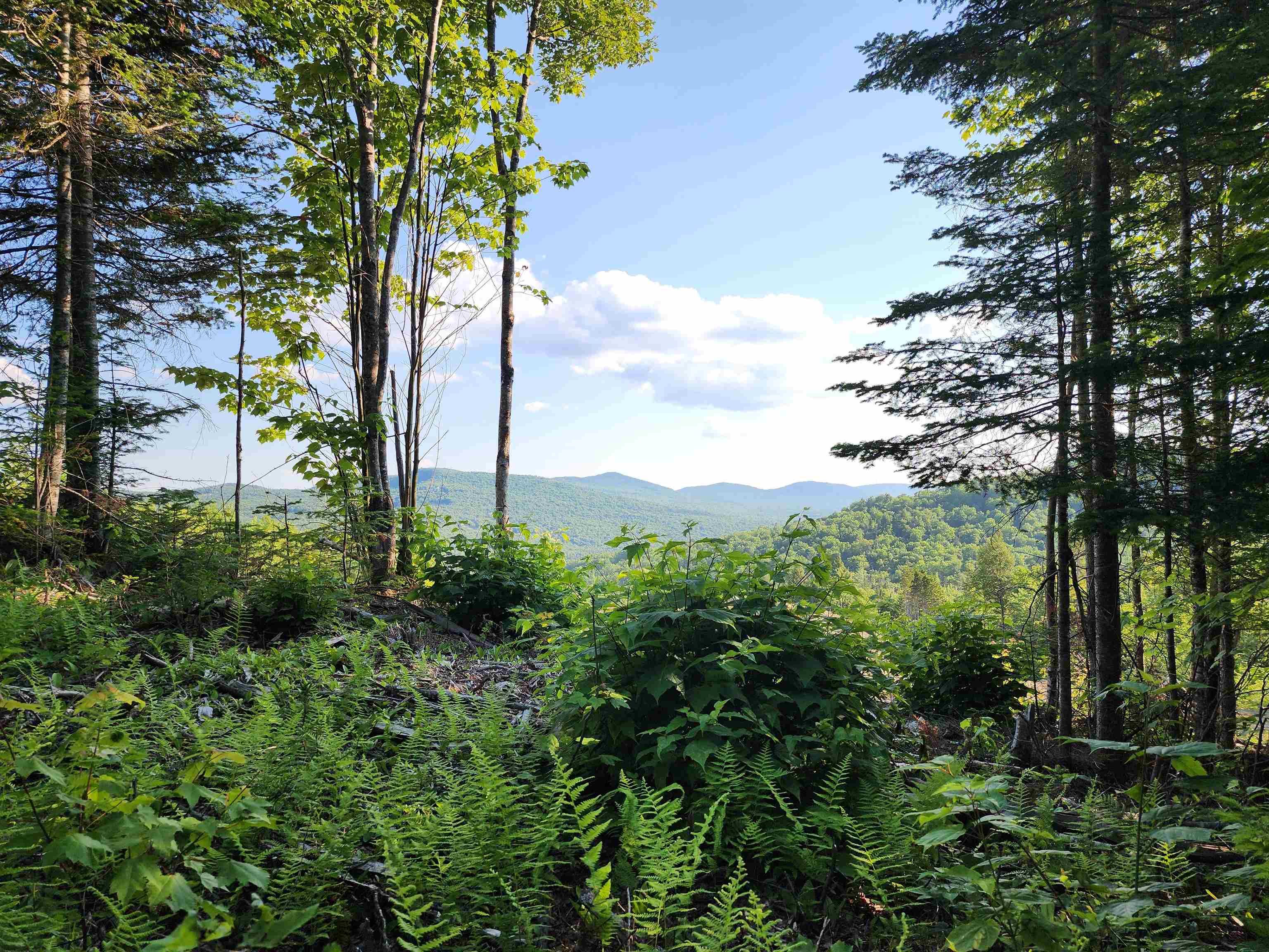 Lot 13 Ginnie Ln, Errol, NH 03579