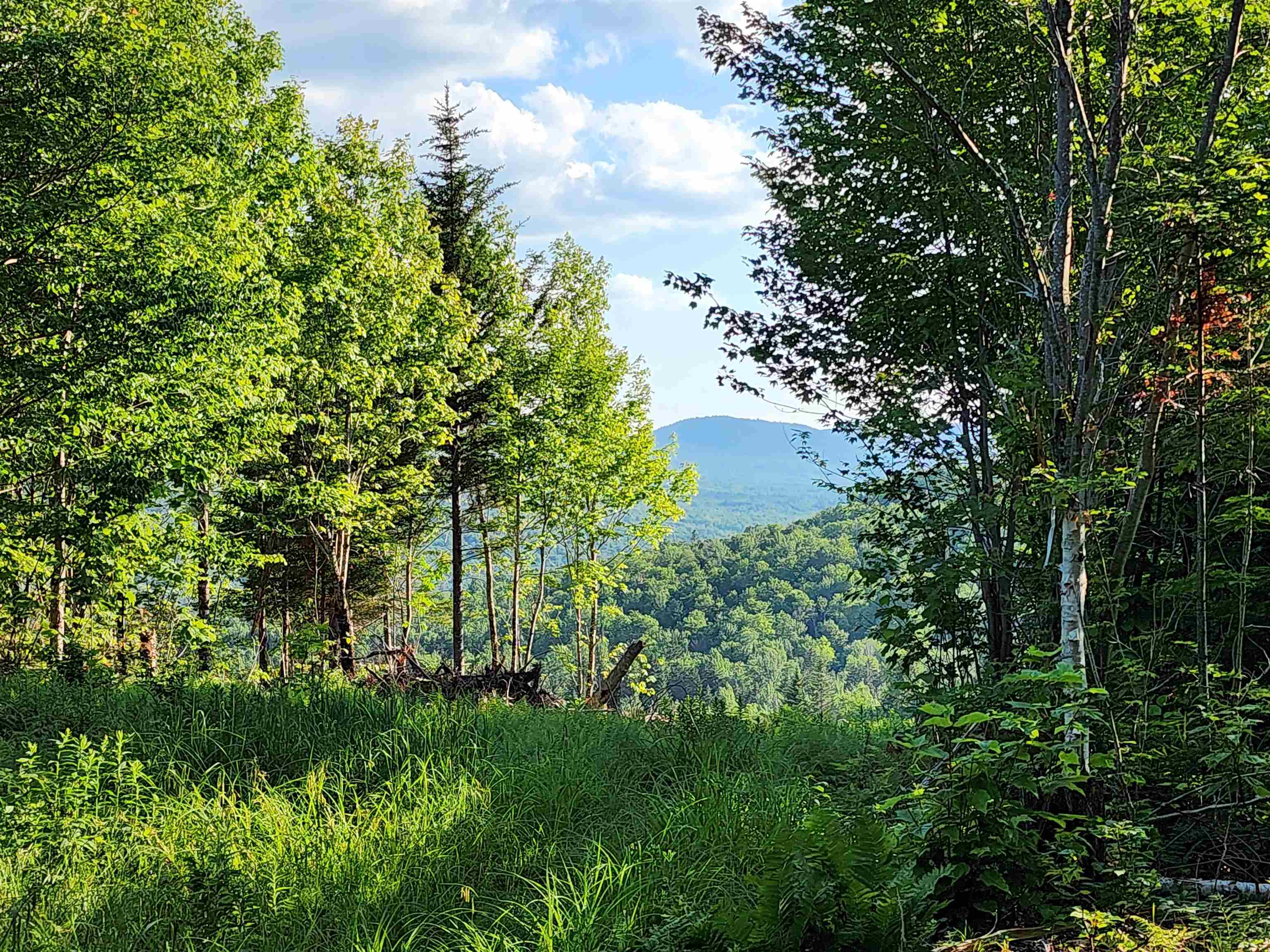 Lot 13 Ginnie Ln, Errol, NH 03579