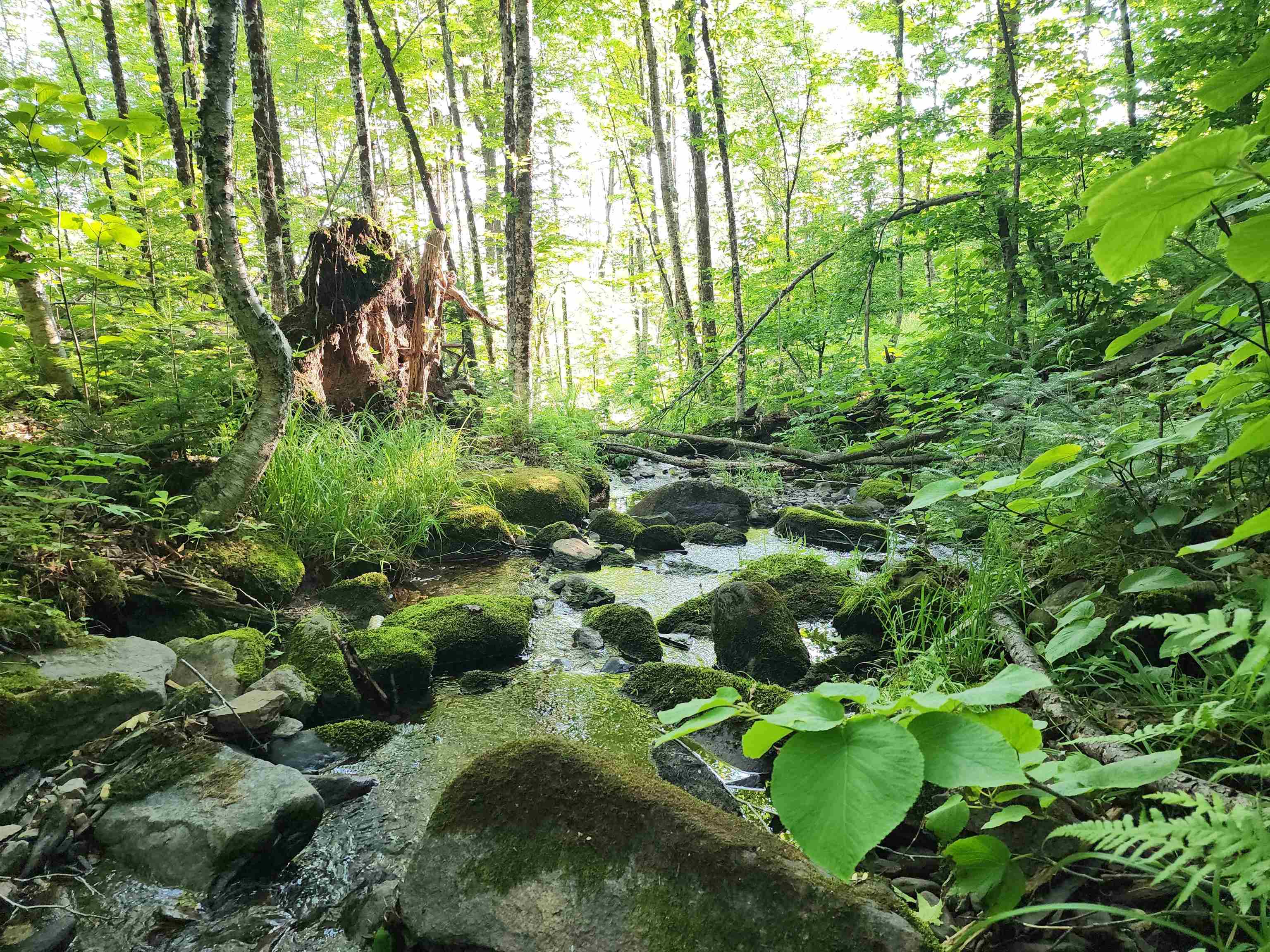 Lot 13 Ginnie Ln, Errol, NH 03579