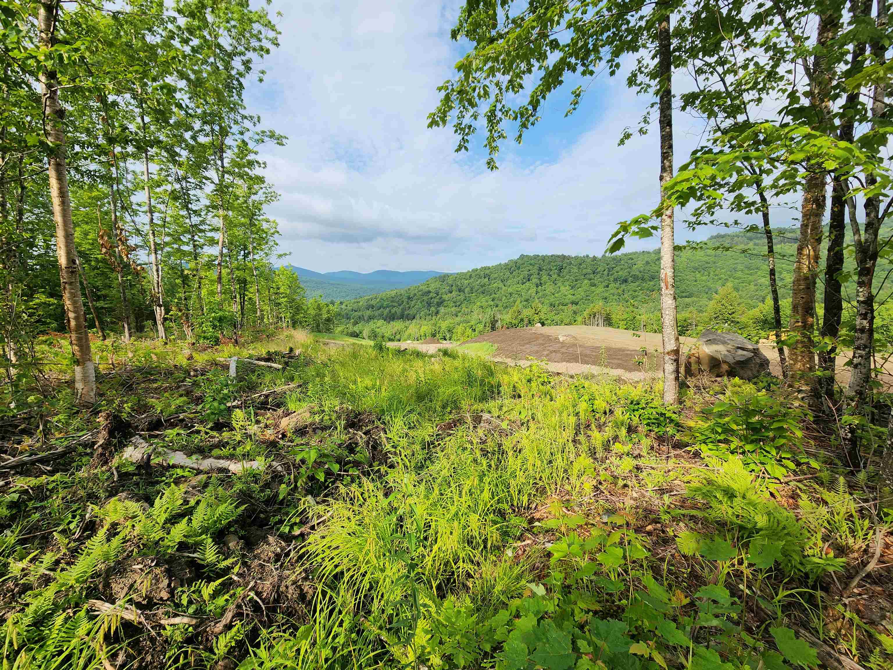 Lot 14 Ginnie Ln, Errol, NH 03579