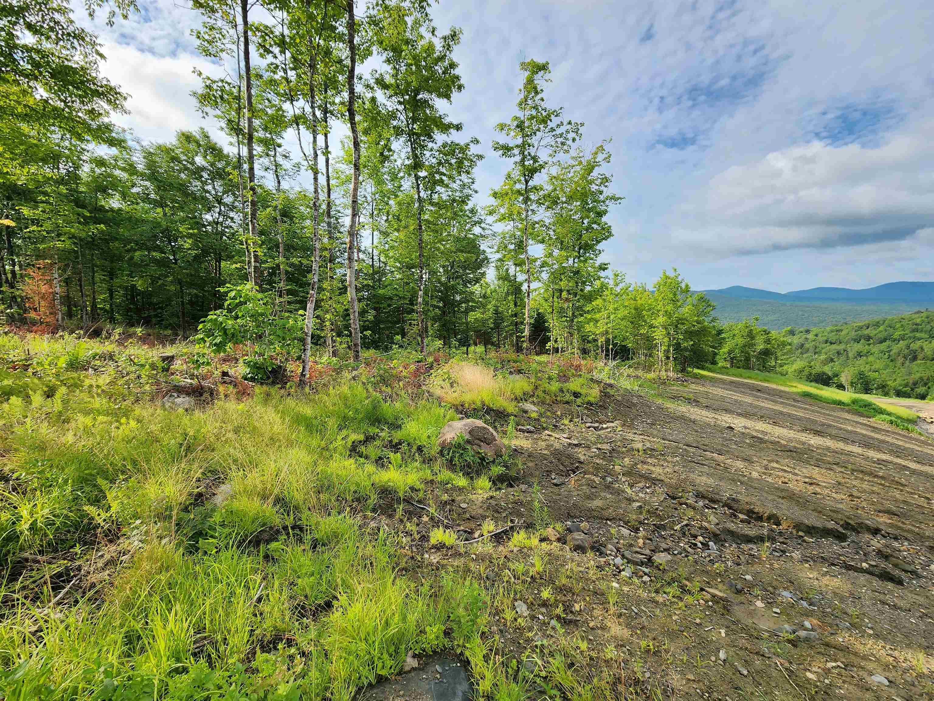 Lot 14 Ginnie Ln, Errol, NH 03579