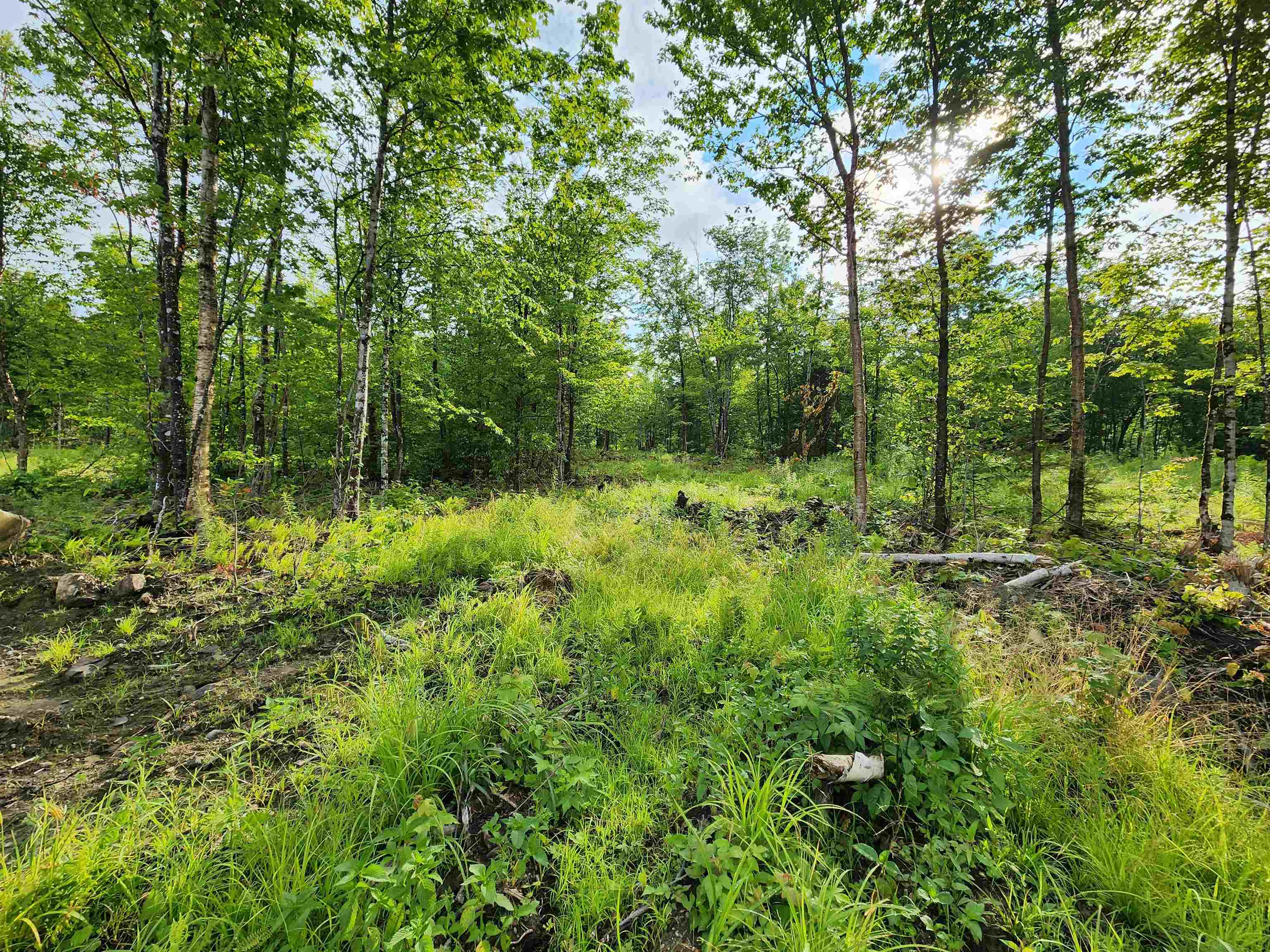 Lot 14 Ginnie Ln, Errol, NH 03579