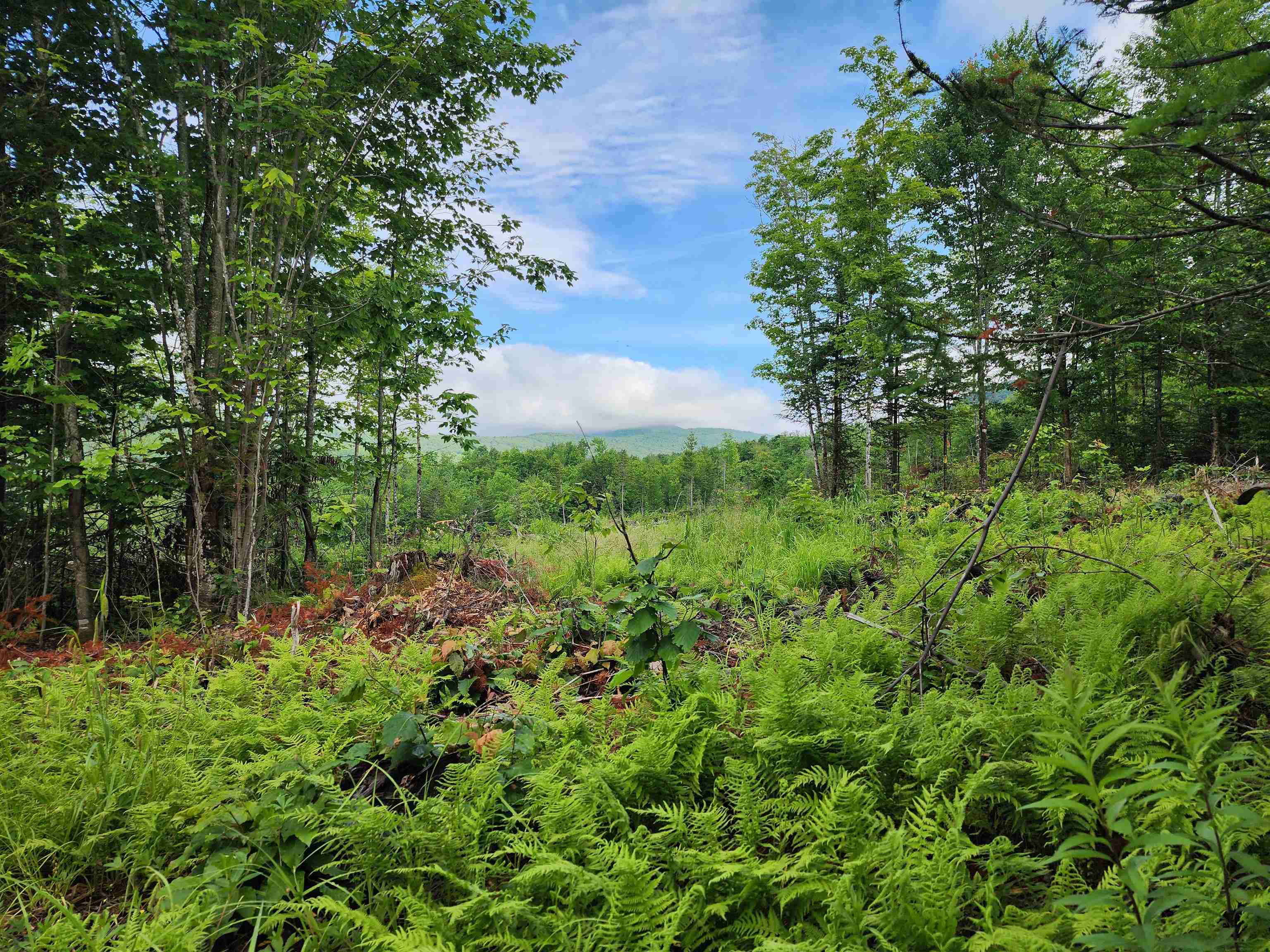 Lot 15 Ginnie Ln, Errol, NH 03579