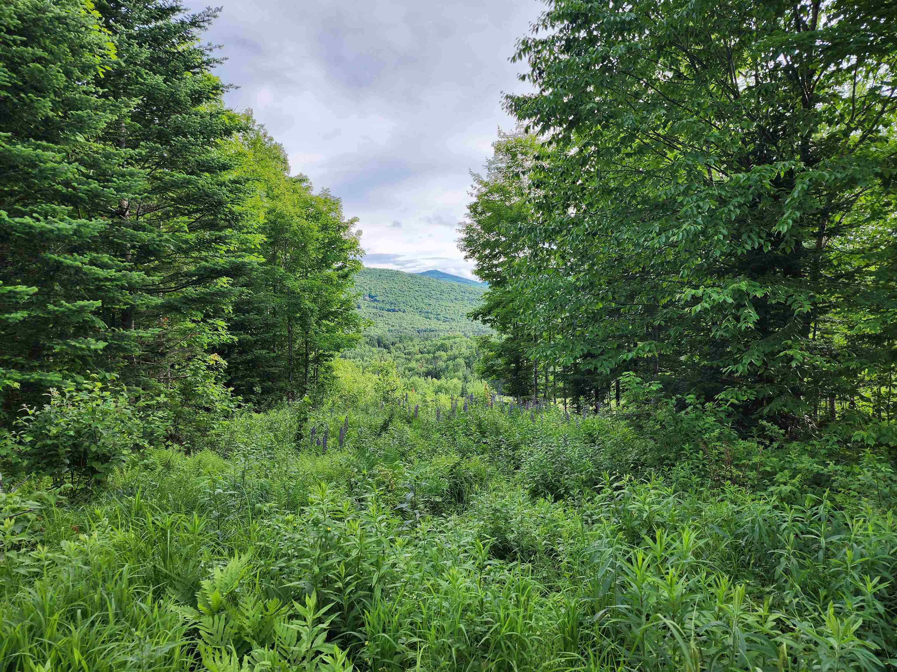 Lot 15 Ginnie Ln, Errol, NH 03579