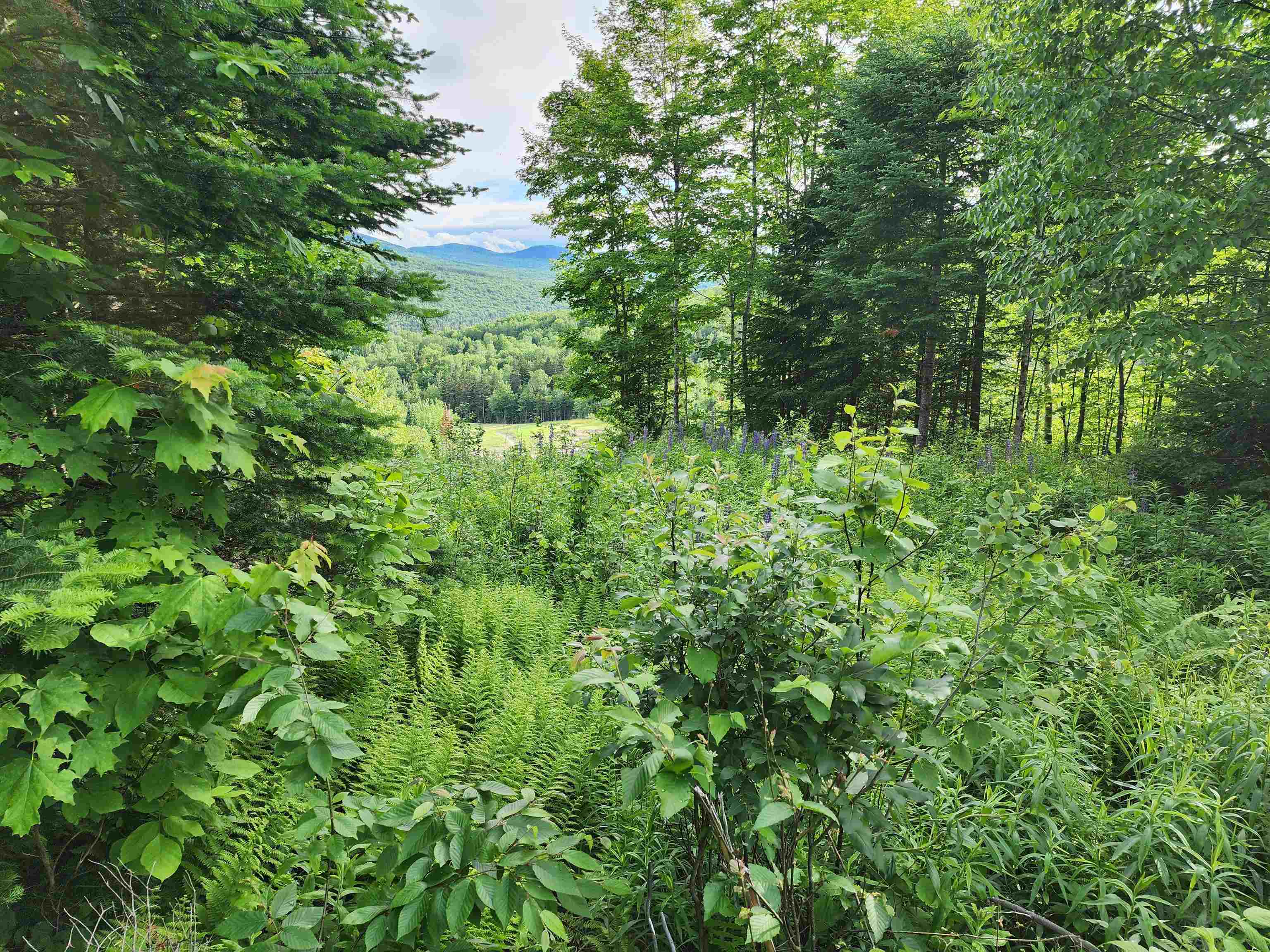 Lot 15 Ginnie Ln, Errol, NH 03579