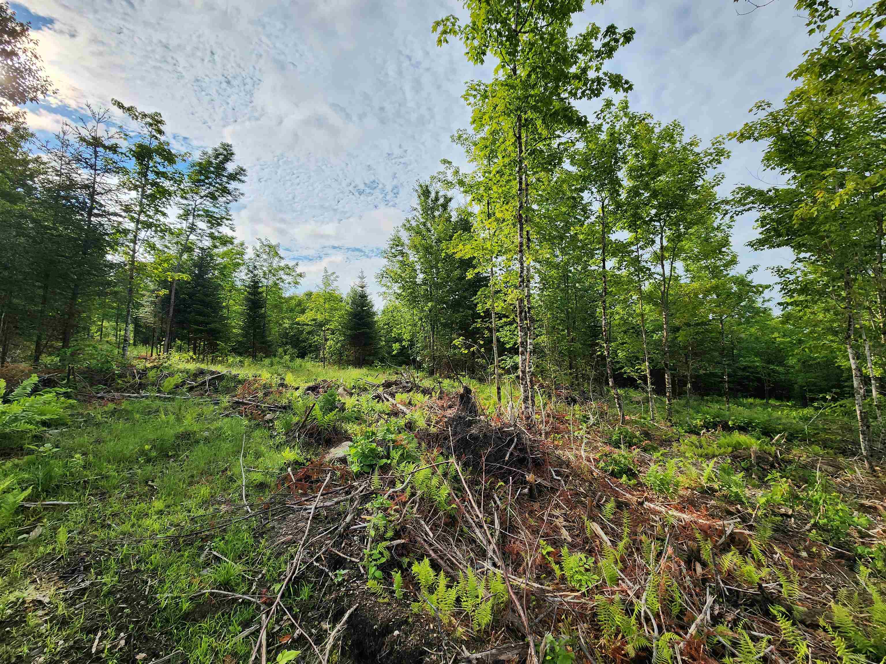 Lot 15 Ginnie Ln, Errol, NH 03579