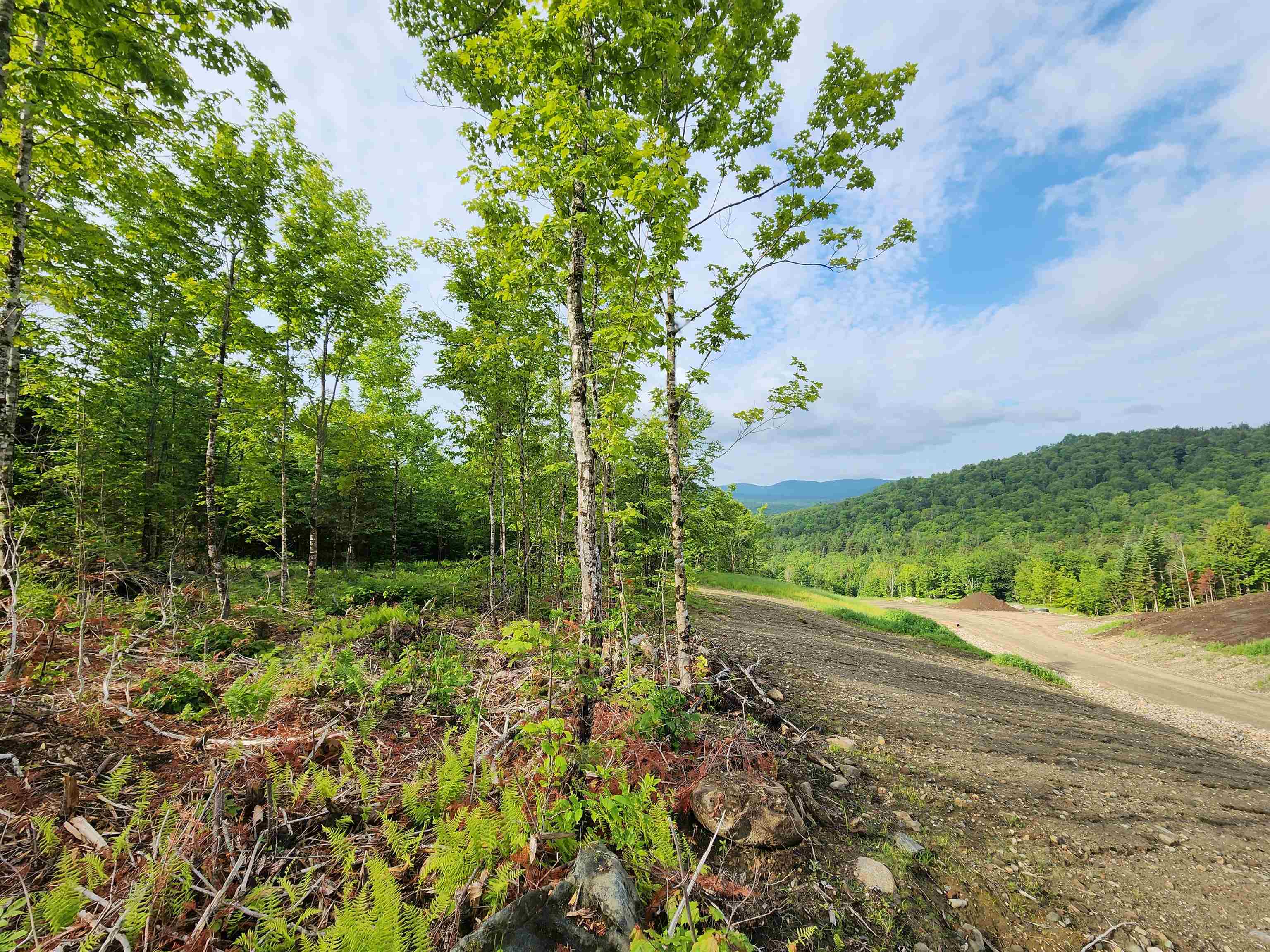 Lot 15 Ginnie Ln, Errol, NH 03579