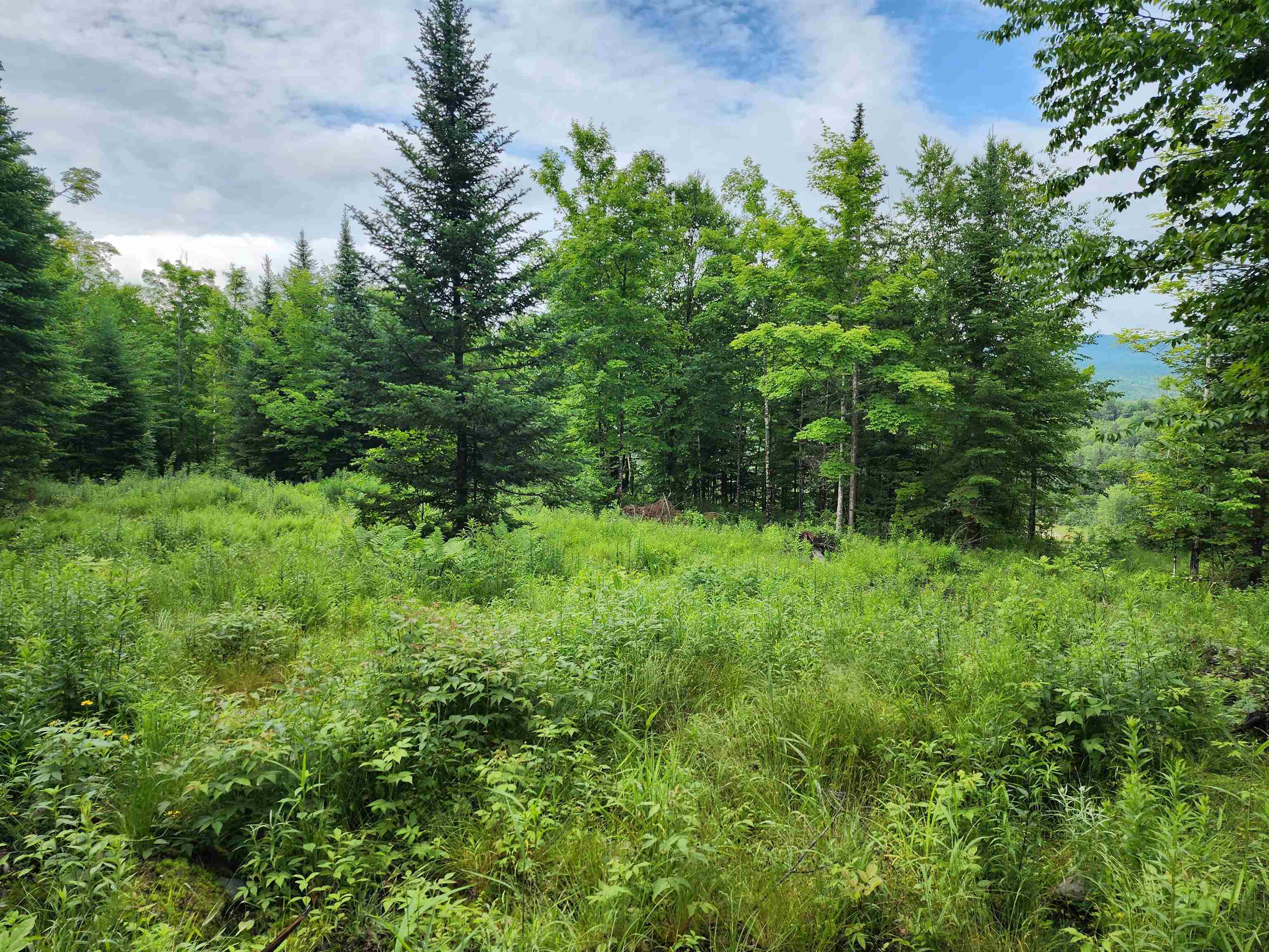Lot 16 Ginnie Ln, Errol, NH 03579