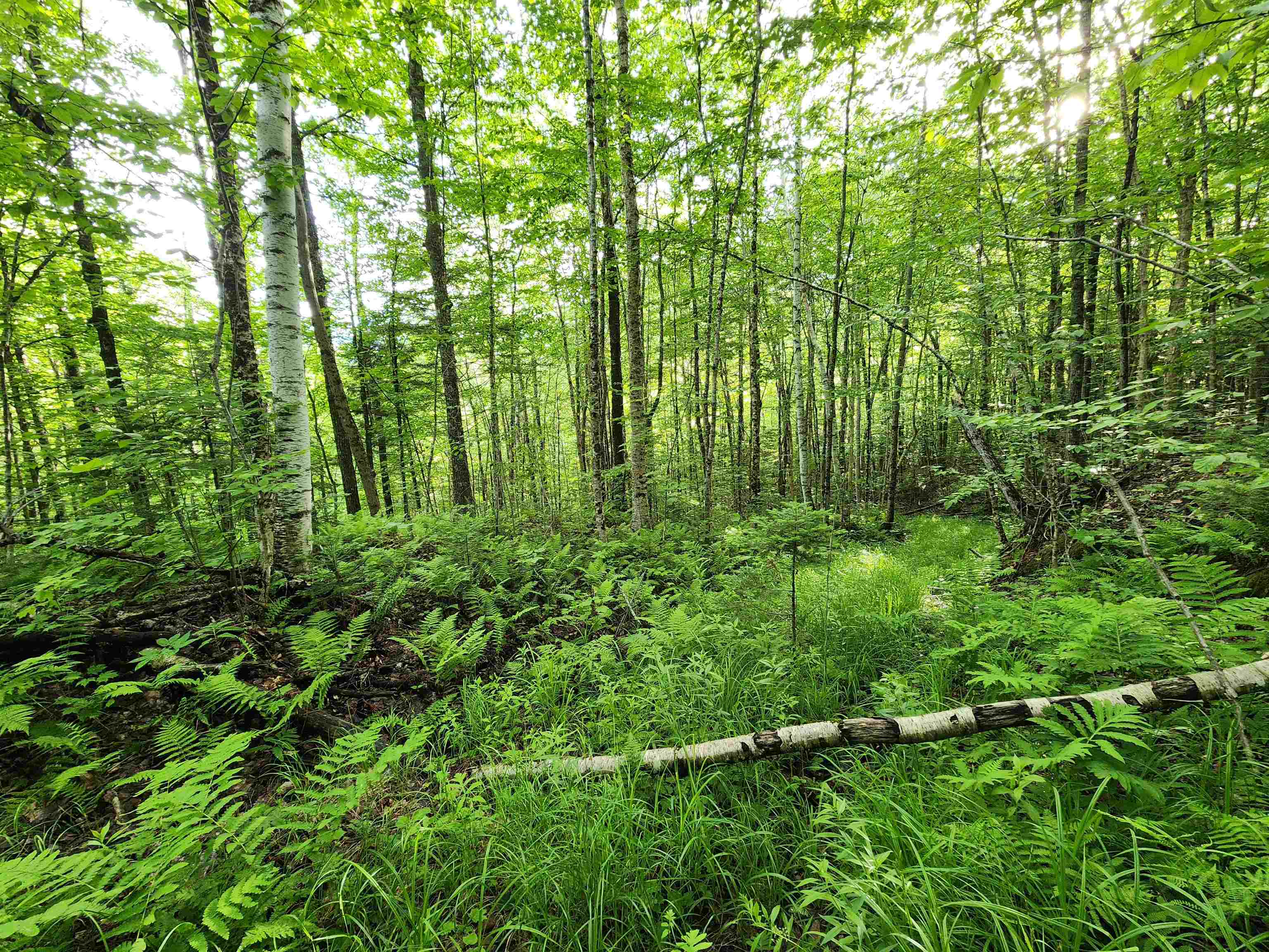 Lot 18 Ginnie Ln, Errol, NH 03579