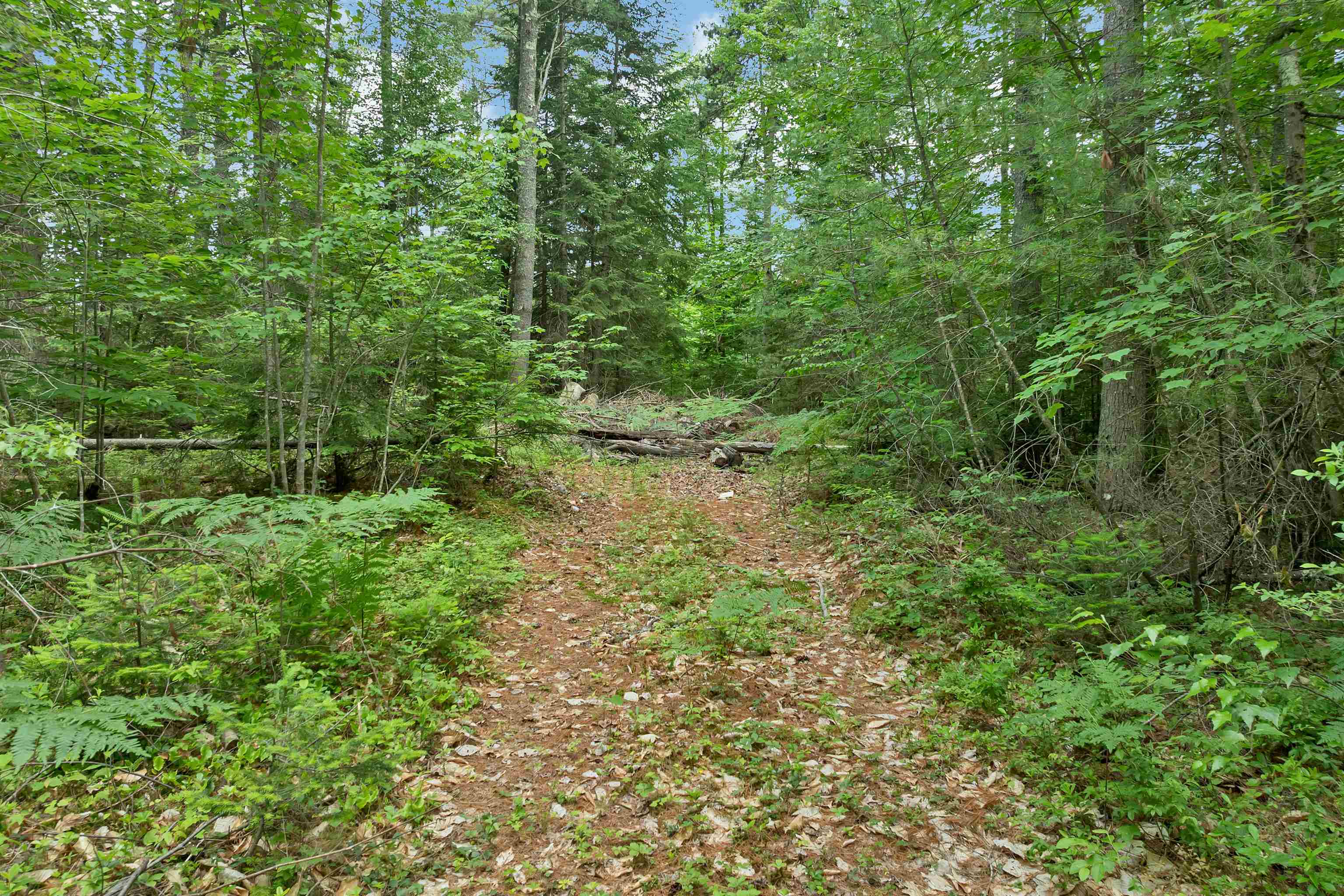 Lot 417-46 Stevens Rd, Effingham, NH 03882