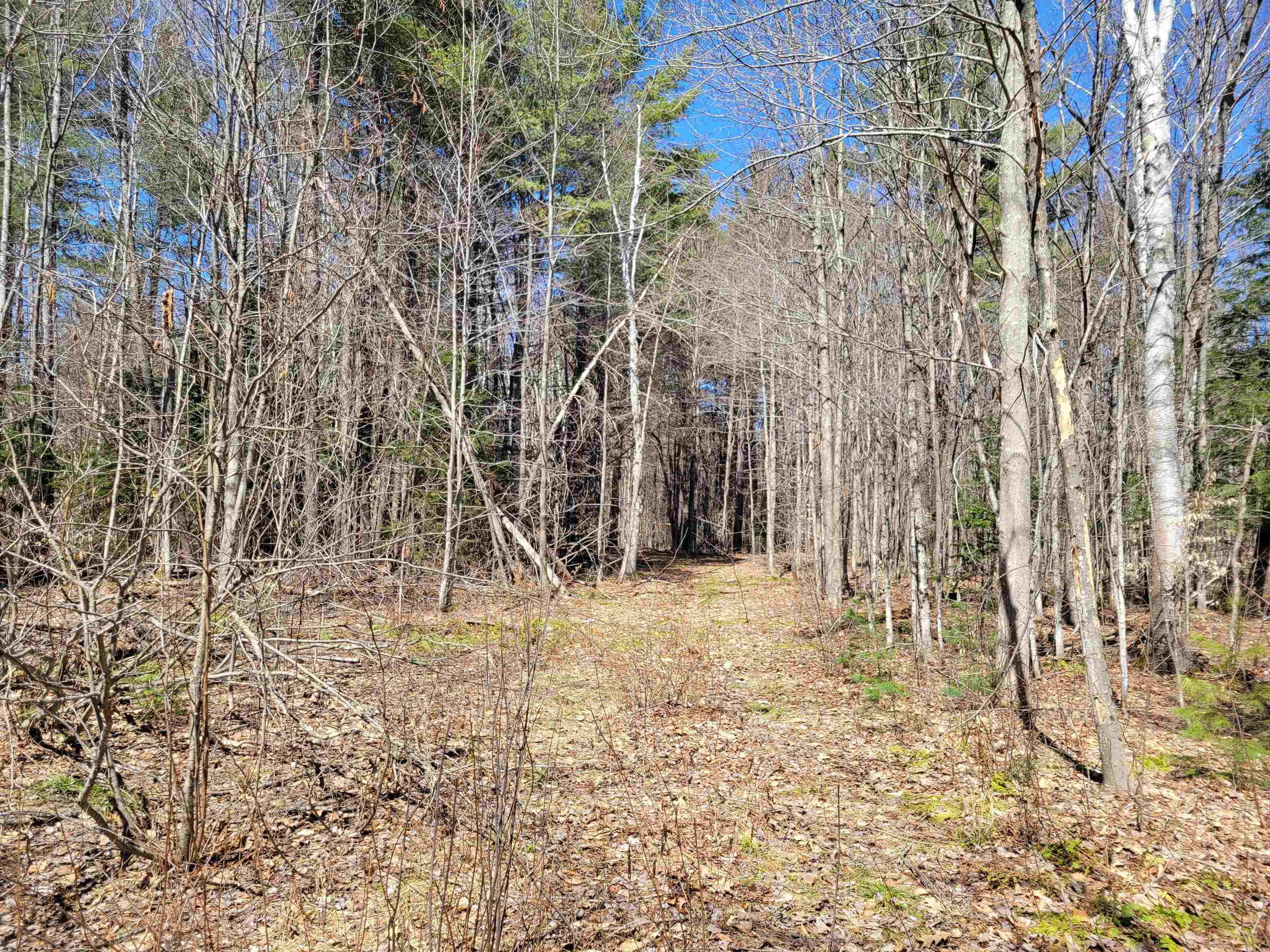 Map 105 Lot 20 Lost River Rd, Woodstock, NH 03262