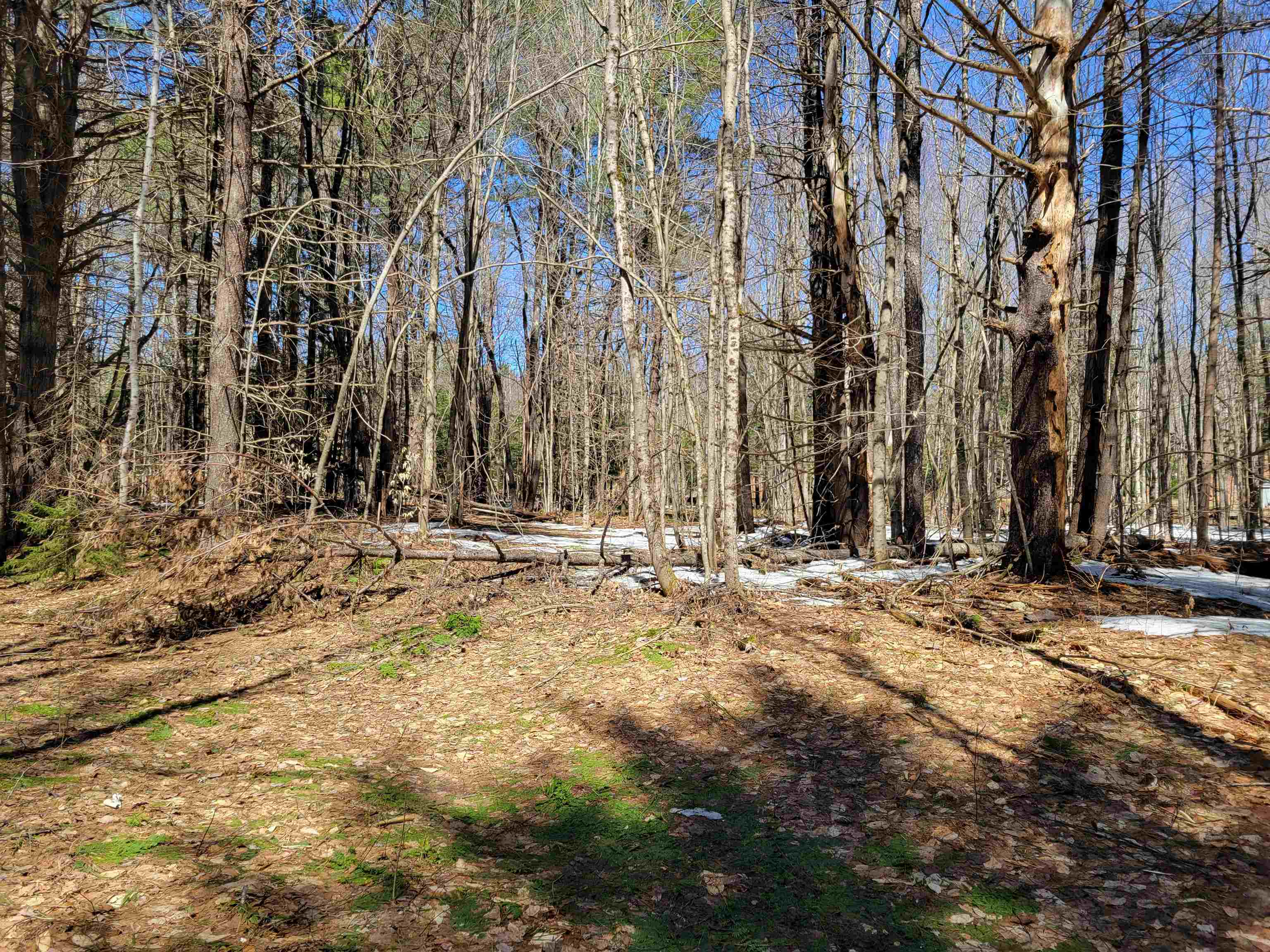 Map 105 Lot 20 Lost River Rd, Woodstock, NH 03262